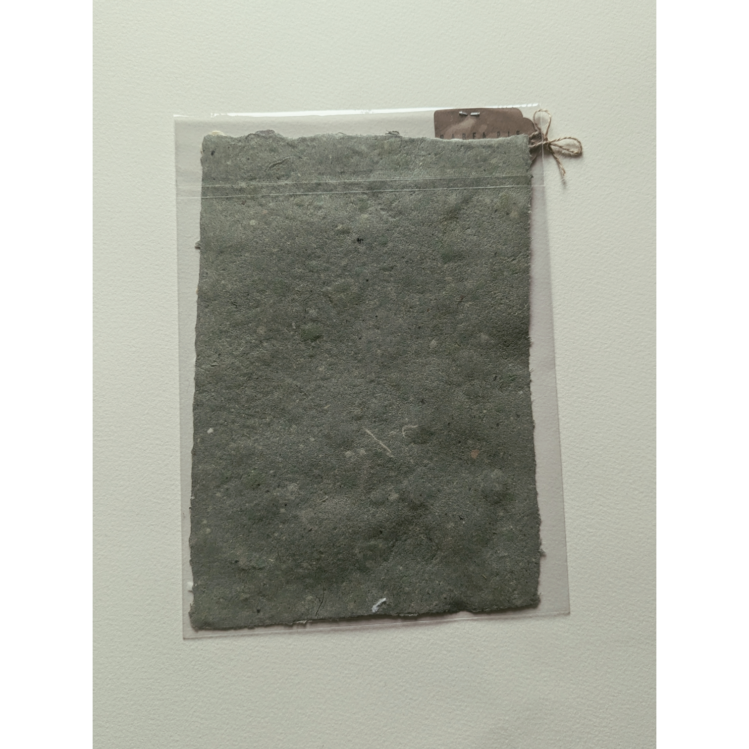 Photoroom-20251209_131103011.png