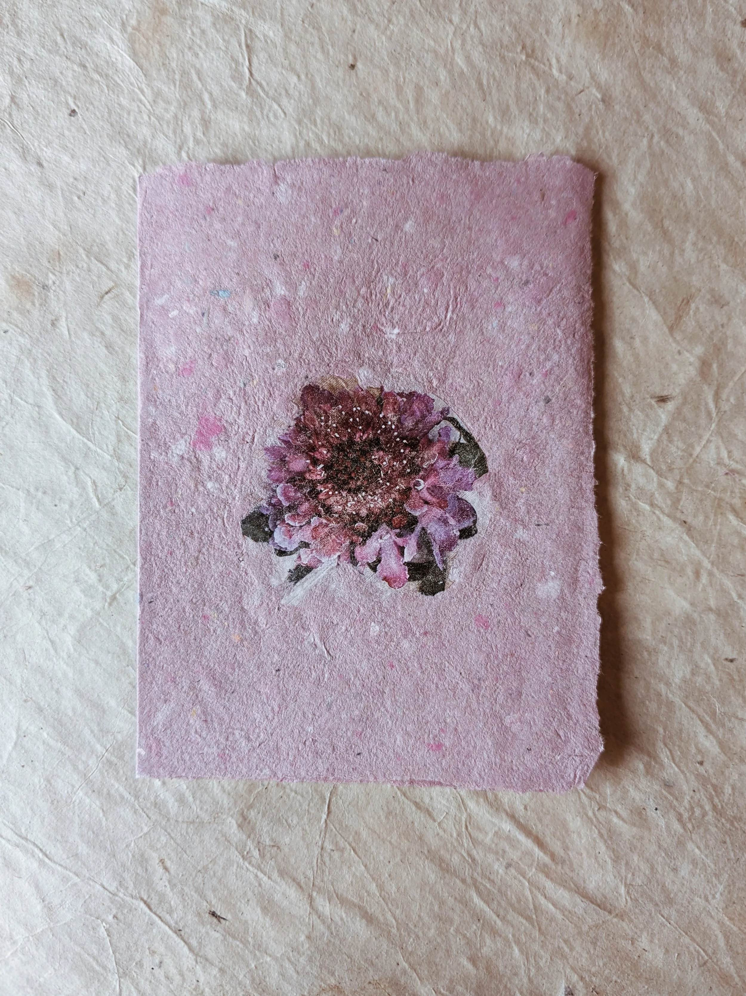 Eine kleines, quadratisches, pinkes Papier mit einer getrockneten Blume darauf. Die Blume ist rosa mit dunklen Rändern und einer dunklen Mitte.