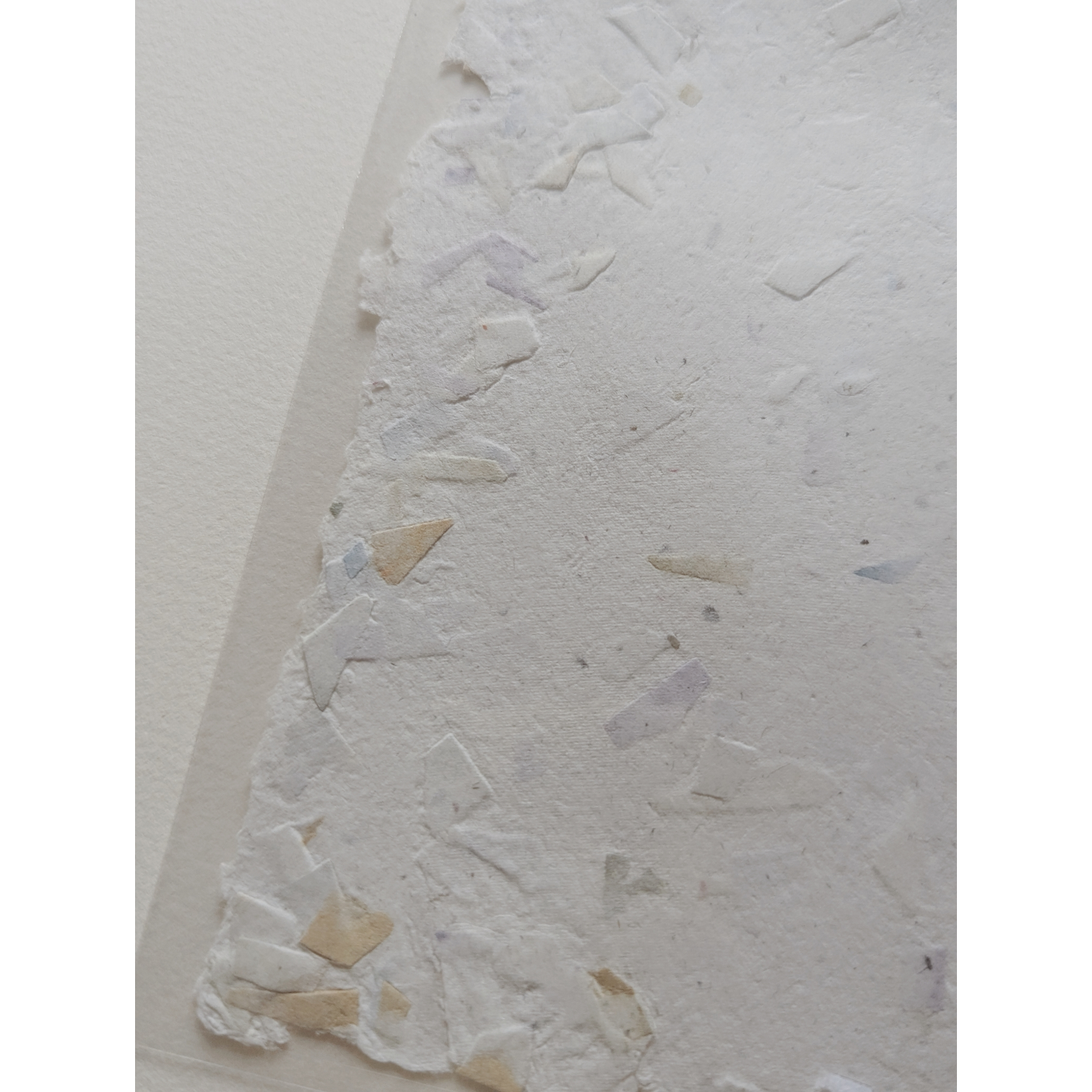 Photoroom-20251209_131532339 (6).png