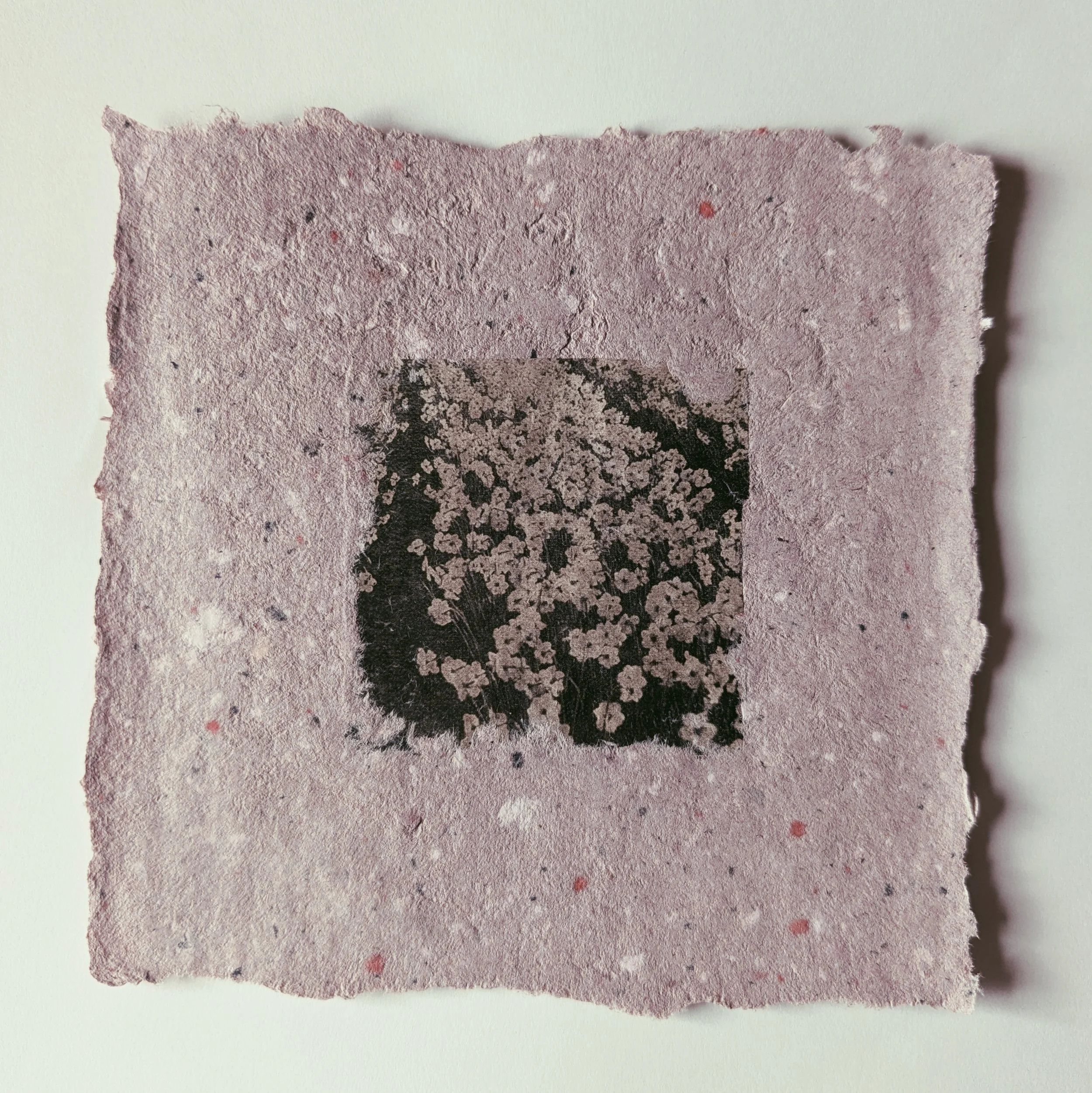 Schwarz-weiße Fotografie eines Blumenstraußes auf einem quadratischen, handgeschöpften, pinkfarbenen Papier, das an den Rändern unregelmäßig ist.