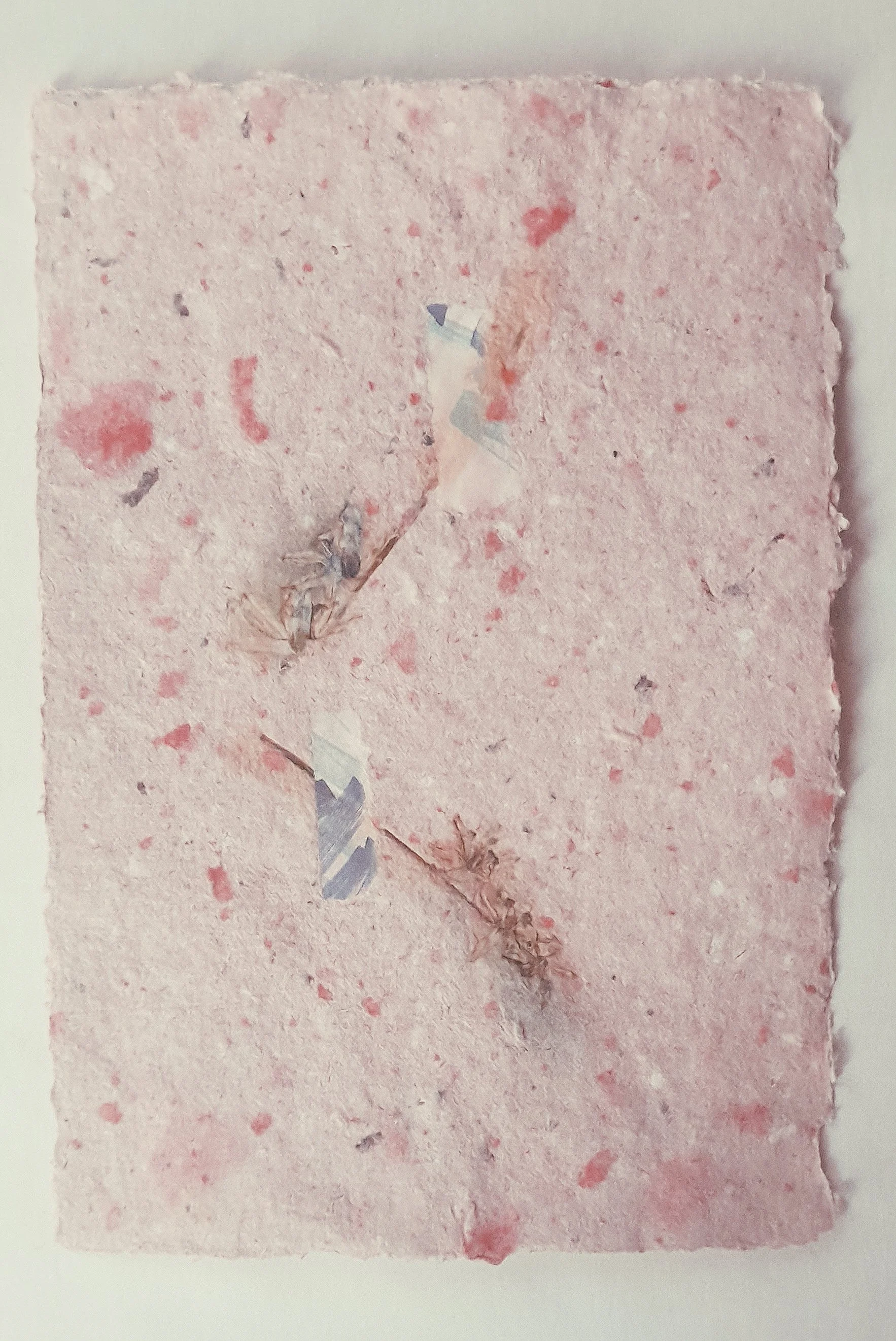 Ein kleines, rosa, gepunktetes Stück Pappe mit Rissen und zerfetztem Papier auf der Oberfläche.