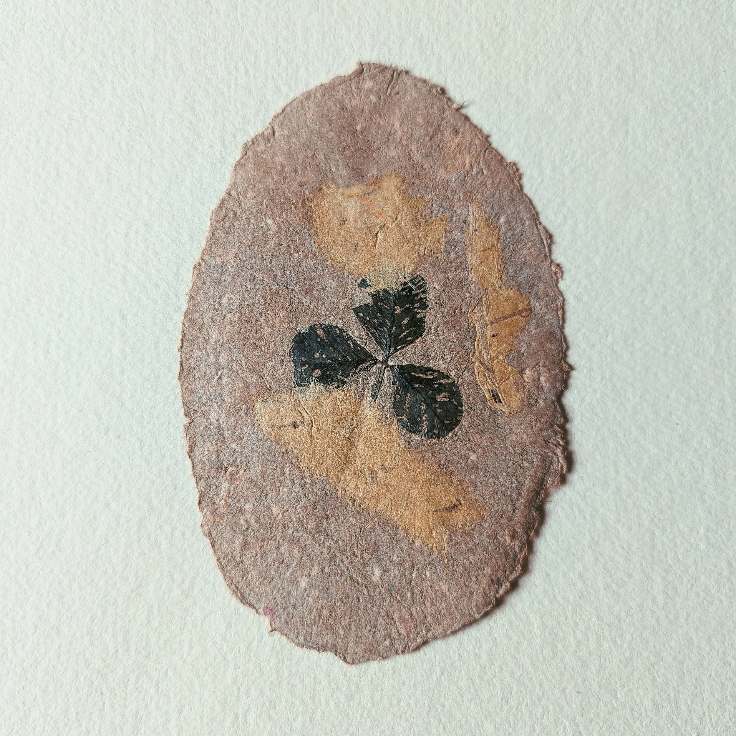 Getrocknete Blätter und eine schwarze Blume auf einem ovalen, papierähnlichen Hintergrund.