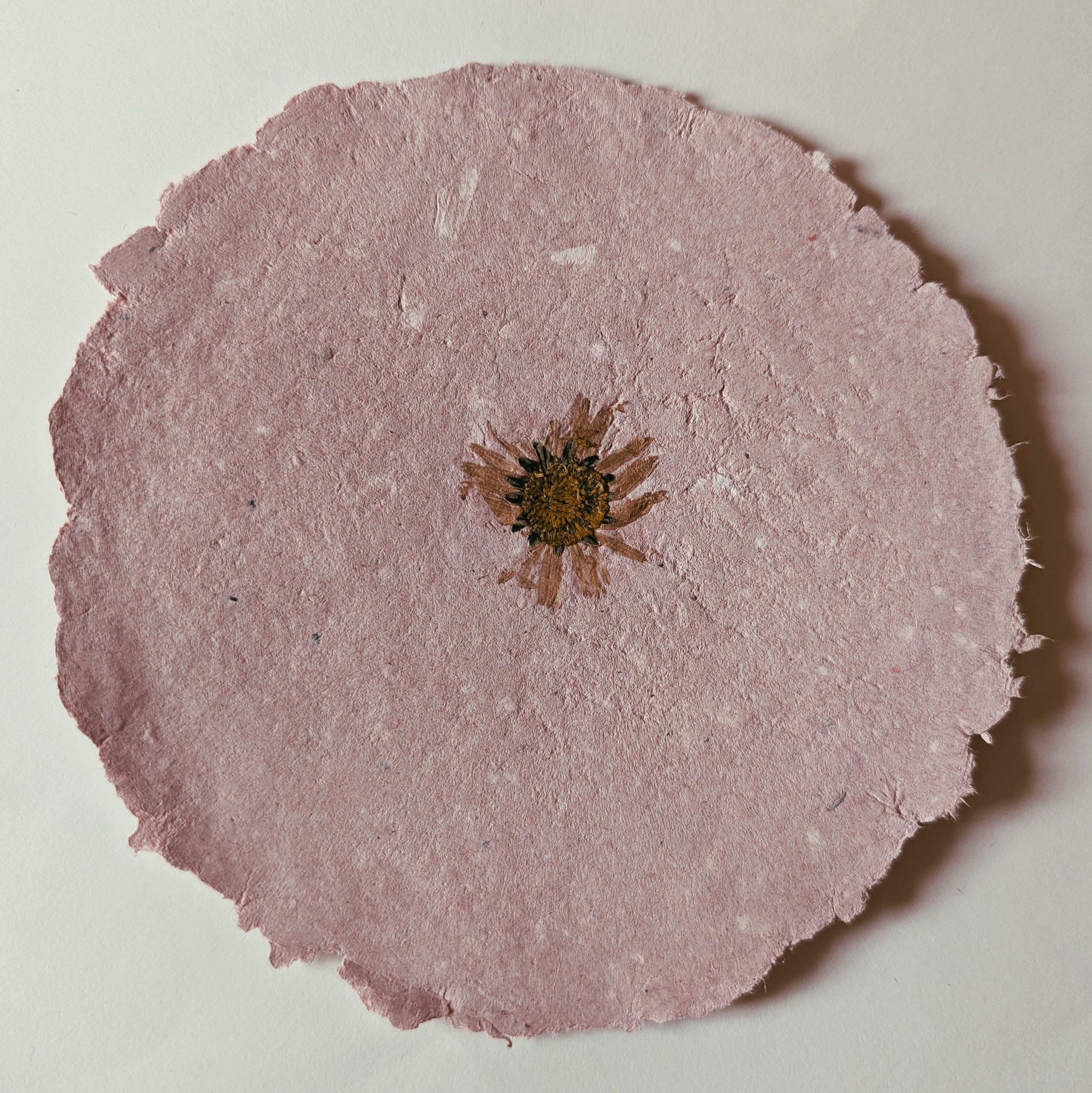 Eine verfilzte, trocken gebliebene Blume auf einem rissigen, rosafarbenen Papierstück.