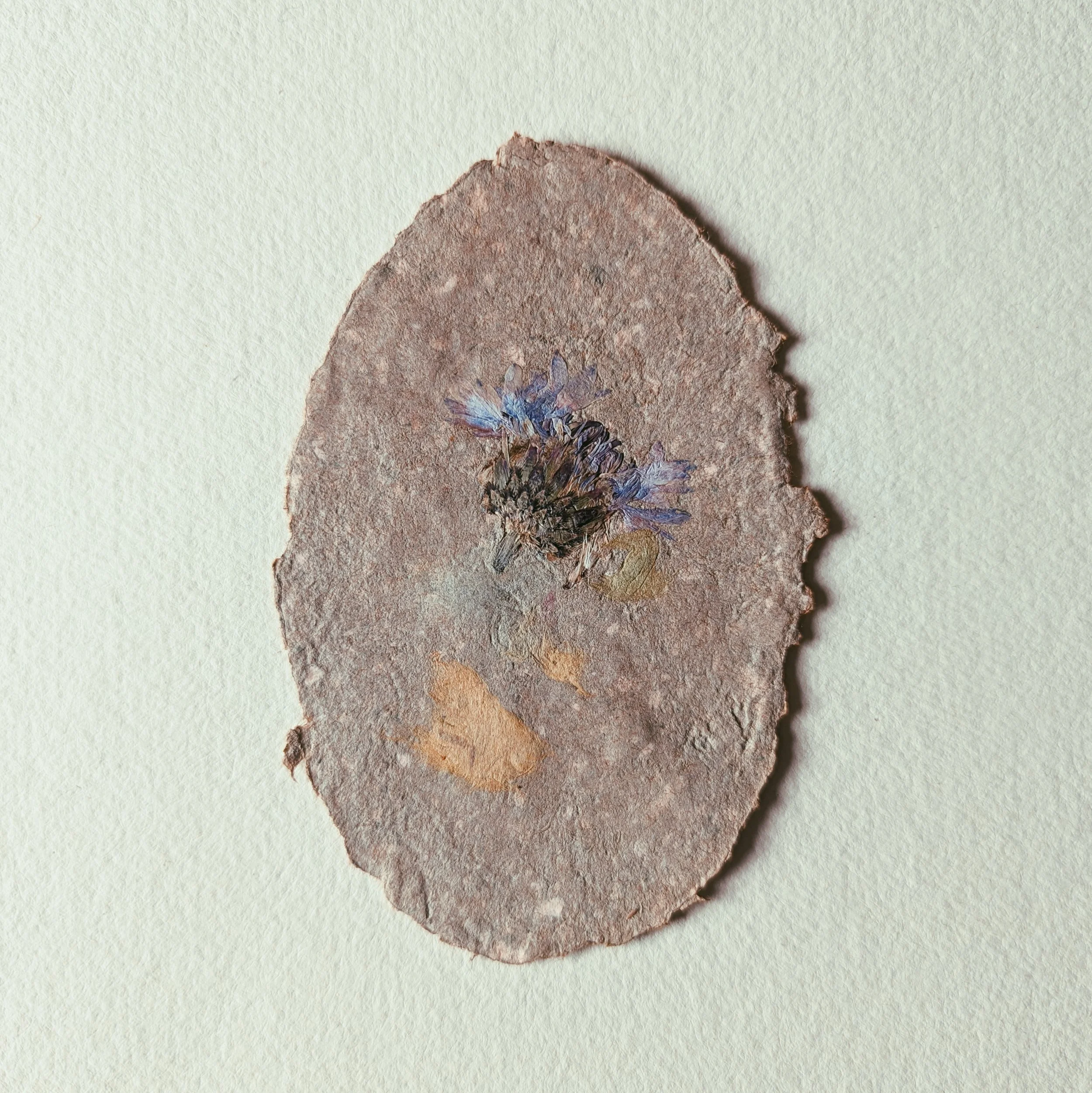 Getrocknete Blume auf einer rauen, ovalen Steinplatte gegen hellen Hintergrund.