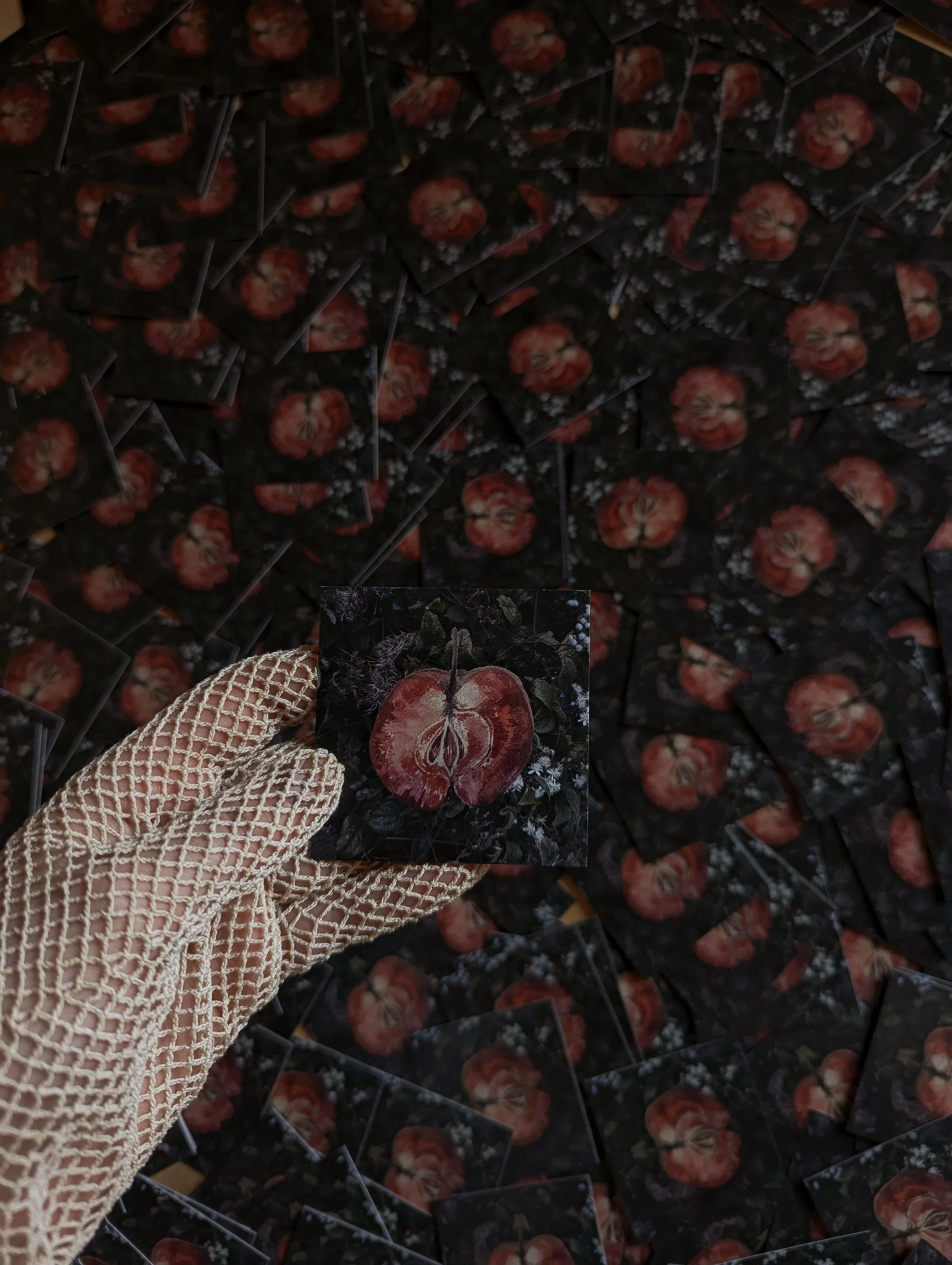 Kreativ Messe Freiburg 2025 / 11 / 15+16