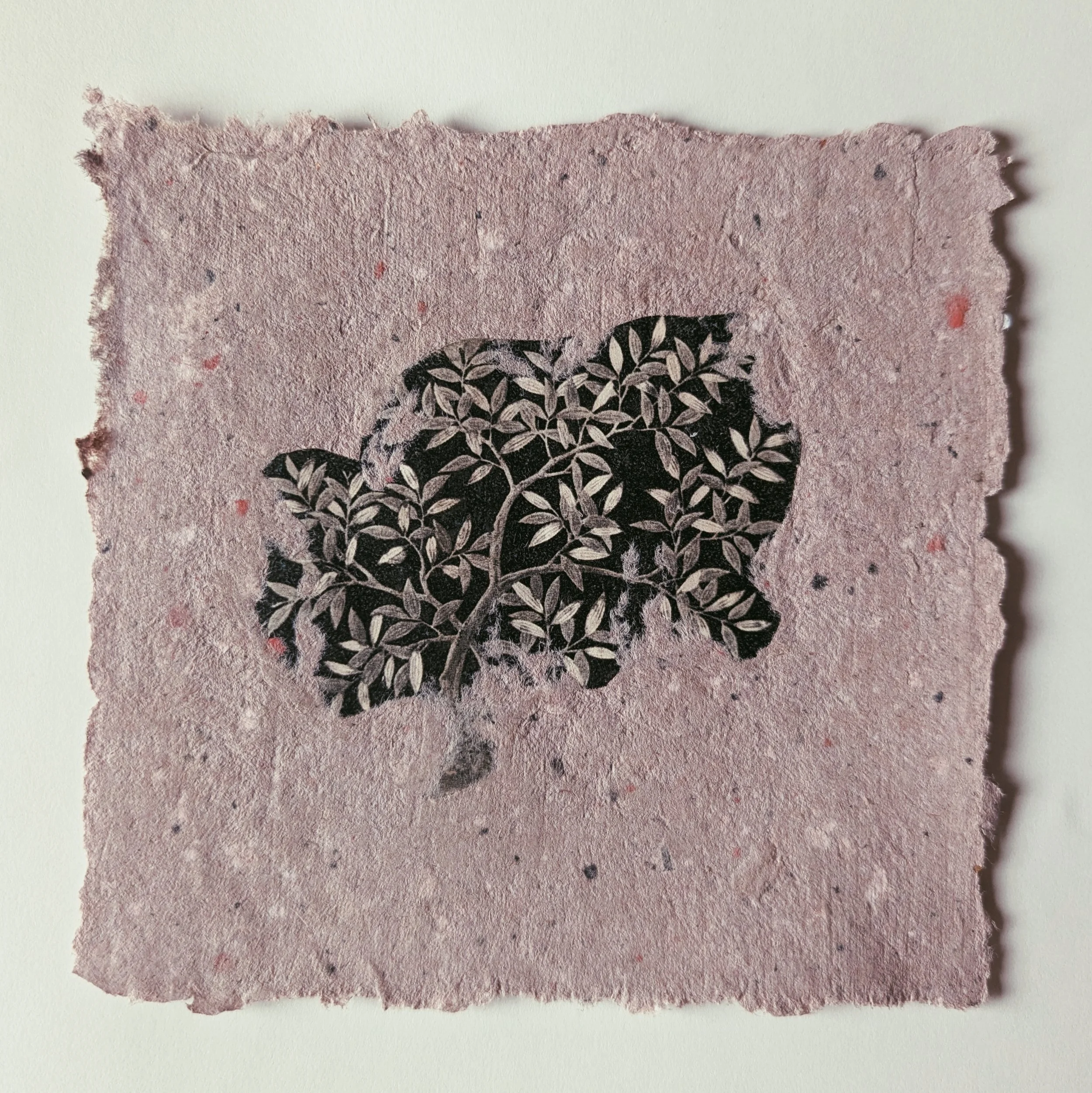 Schwarz-weiße Illustration eines Blattes auf einem handgemachten, pinken, strukturierten Papier.