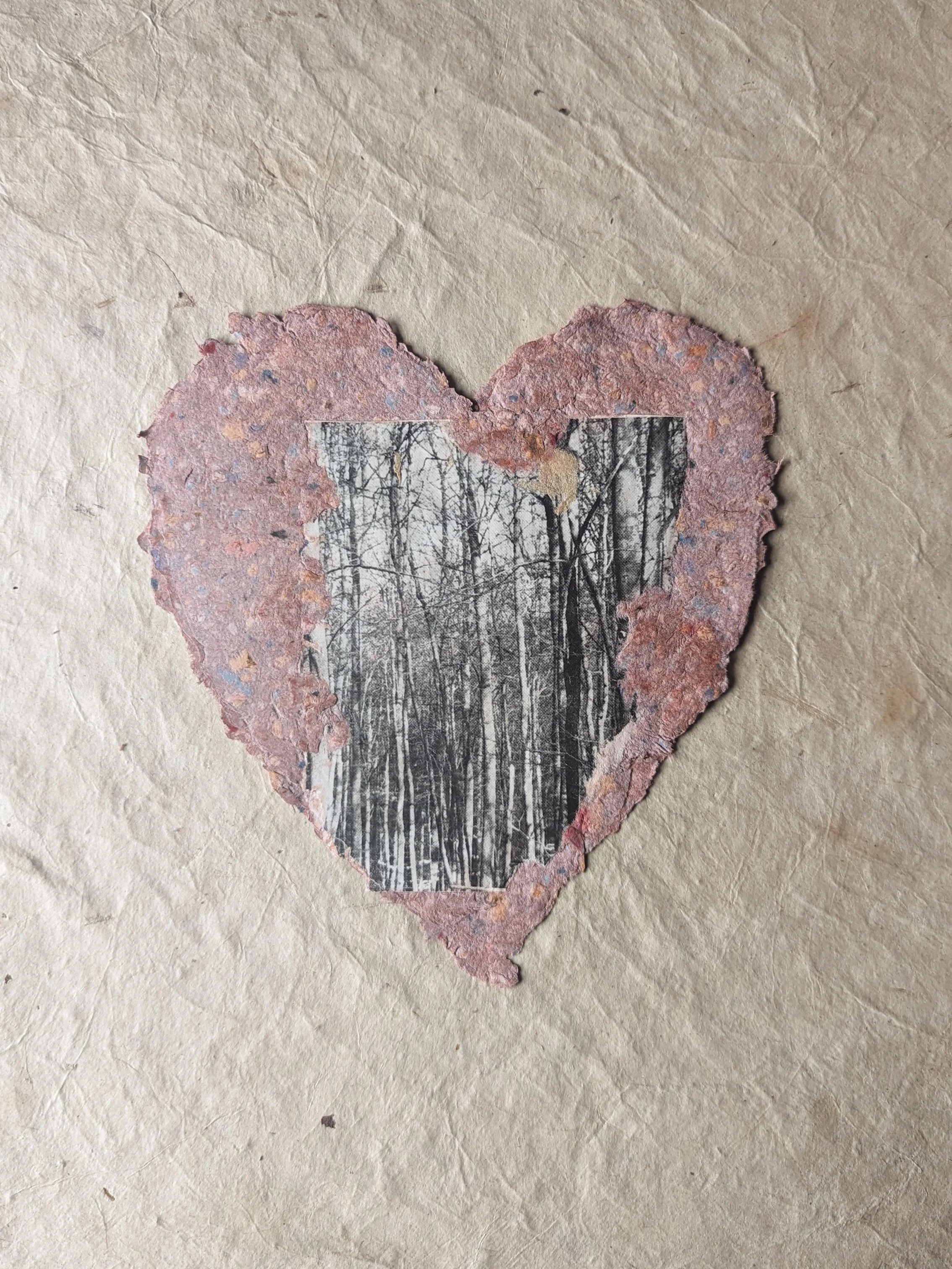 Eine Herzform aus handgeschöpftem Papier mit einem Schwarz-Weiß-Foto eines Waldes im Inneren, auf einem beige Hintergrund.