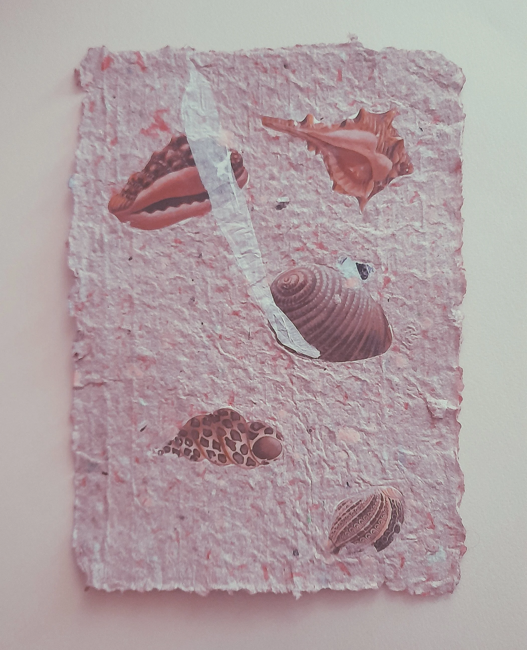 Kollage aus Meeresmuscheln und Schneckenhäusern auf einem pinken, gepressten Stein