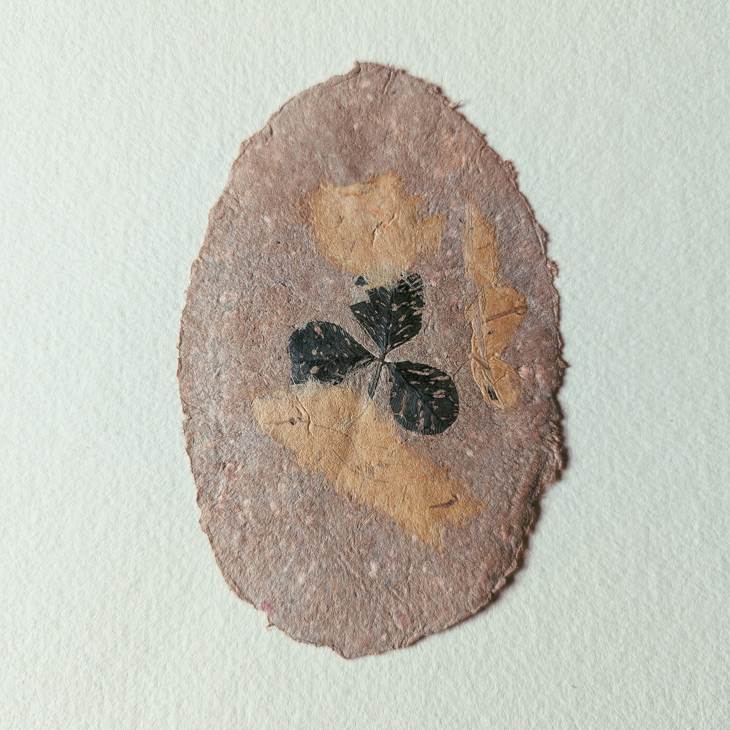 Ein unregelmäßig geformtes eiförmiges Papier handgeschöpftes Papier  mit eingearbeiteten, getrockneten Blumen und Blättern.