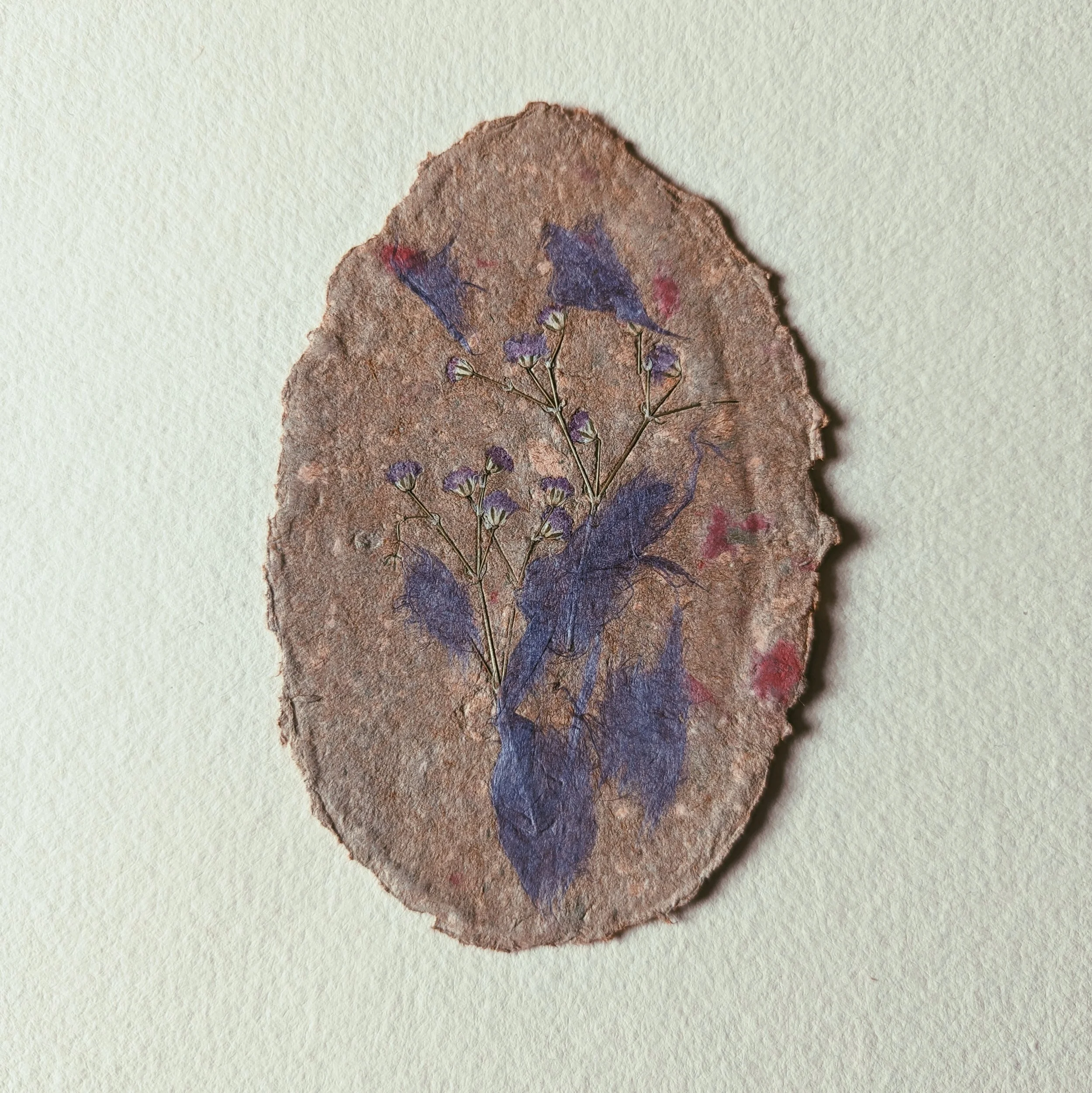 Ein Stück Papier mit getrockneten blauen und roten Blumen, das auf einer weißen Oberfläche liegt.