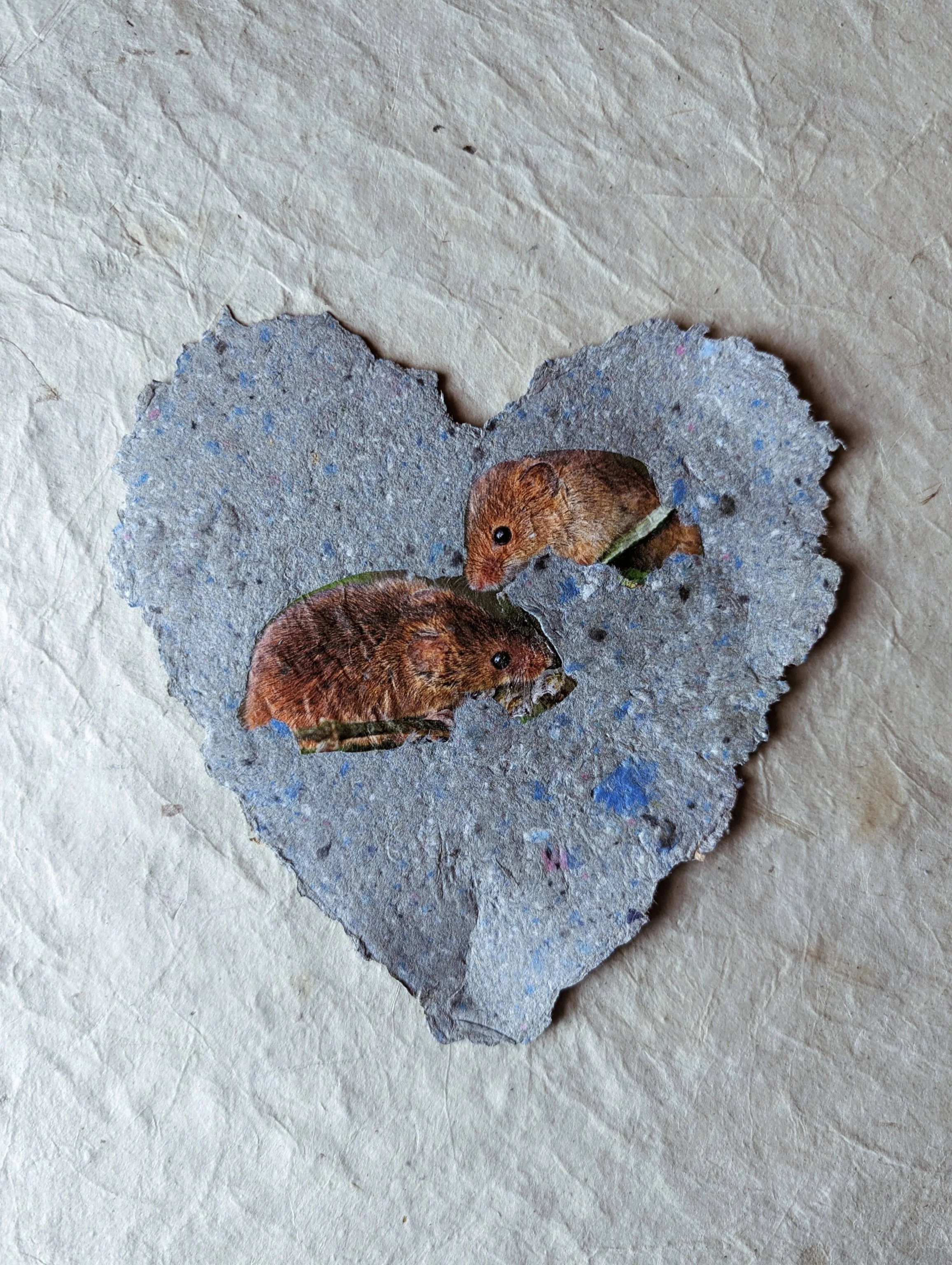 Auf einem zerknitterten, grauen Papierstück sind zwei kleine Tiere, die Mäuse darstellen, abgebildet. Es scheint eine Collage zu sein.