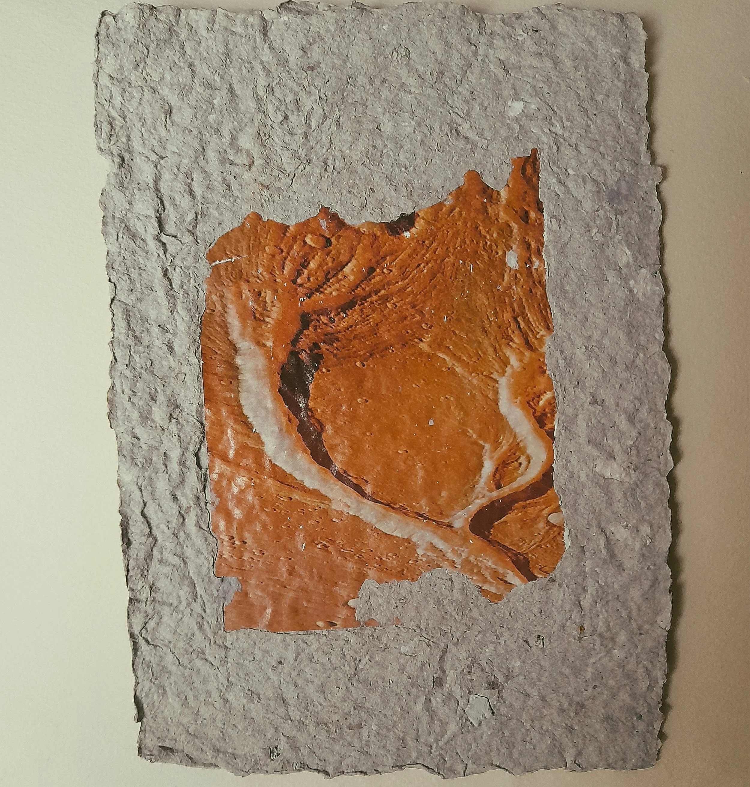 Eine Fossil auf einem handgeschöpften Papier