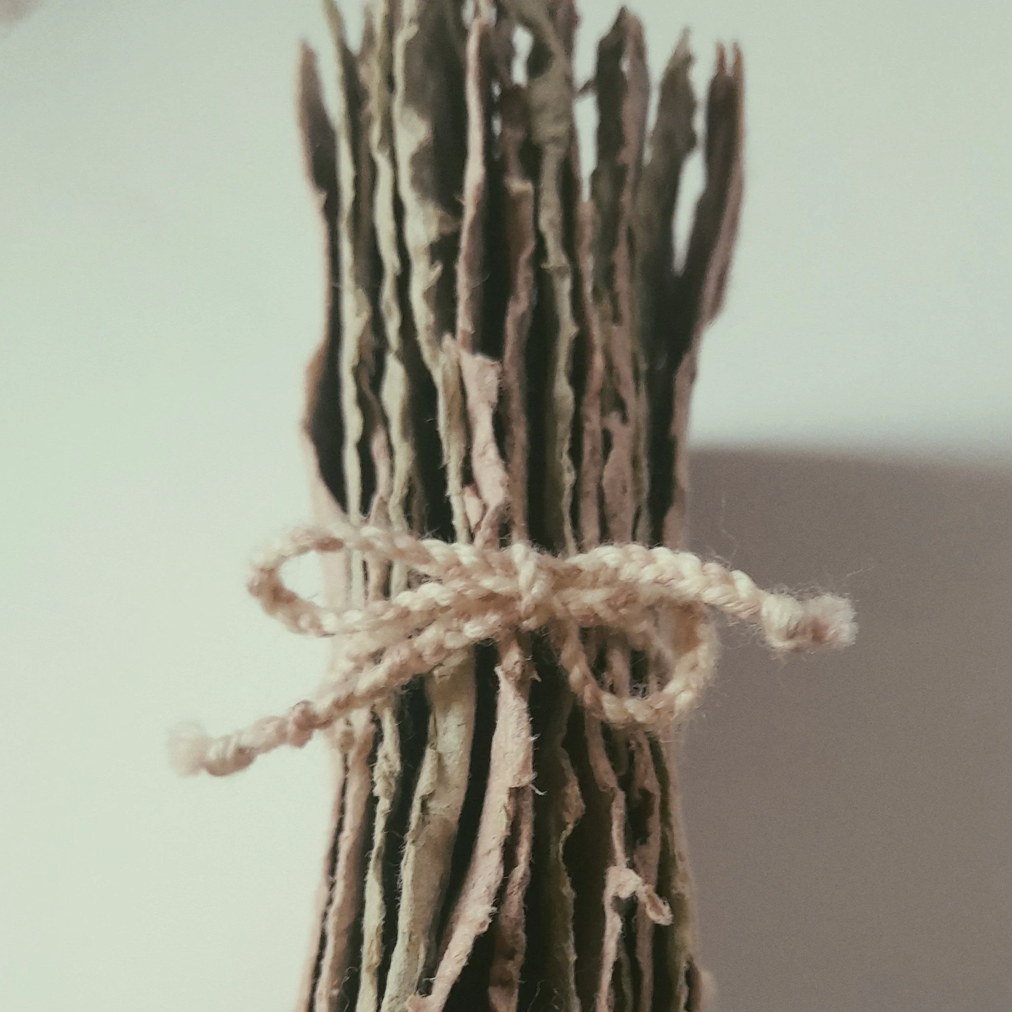 Ein Bündel getrockneter Rinde, das mit einem dünnen, handgestrickten Garn zusammengebunden ist.