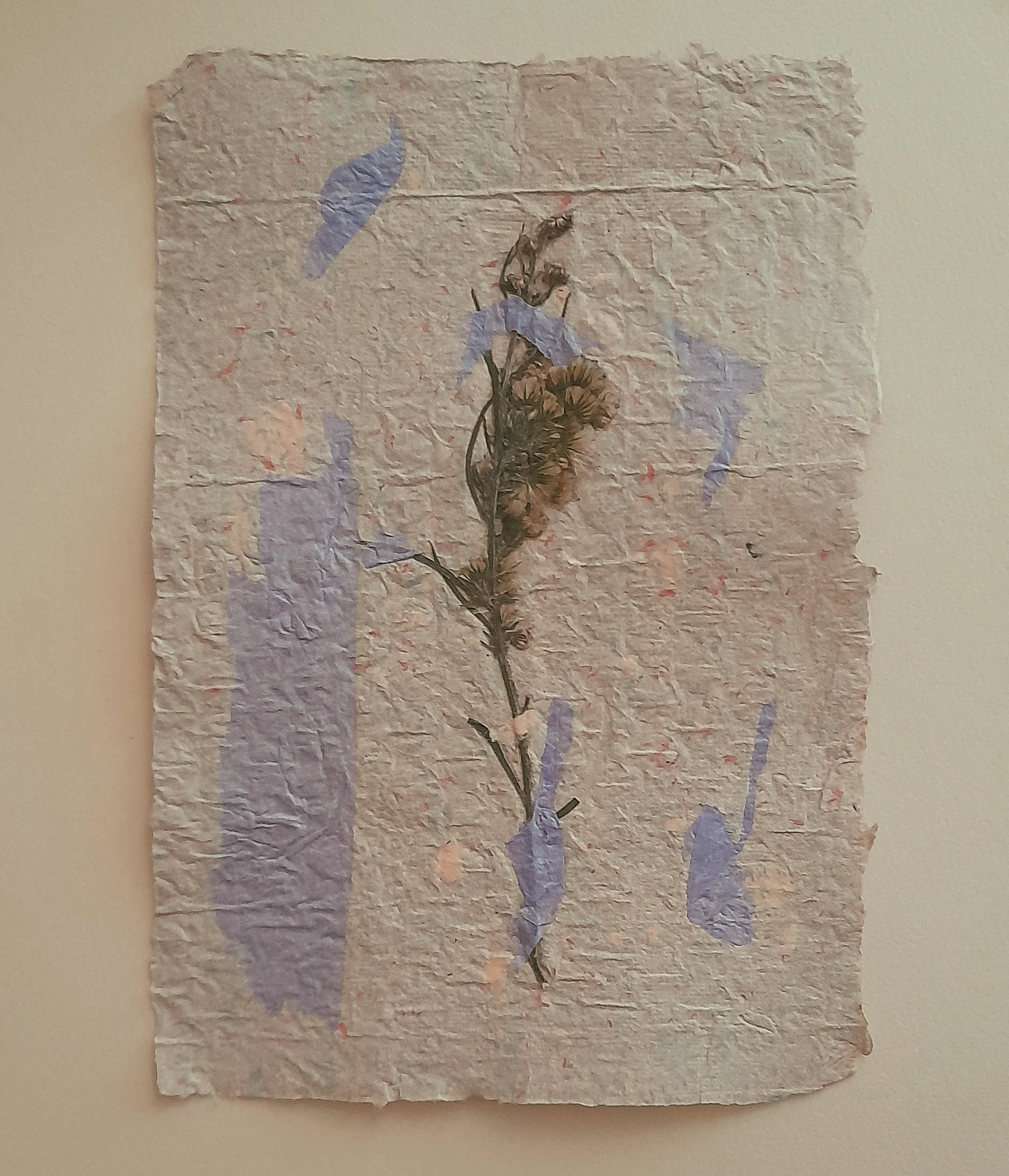 Verblasste getrocknete Pflanze auf empfindlichem Papier mit blauen Farbtupfern vor hellem Hintergrund.