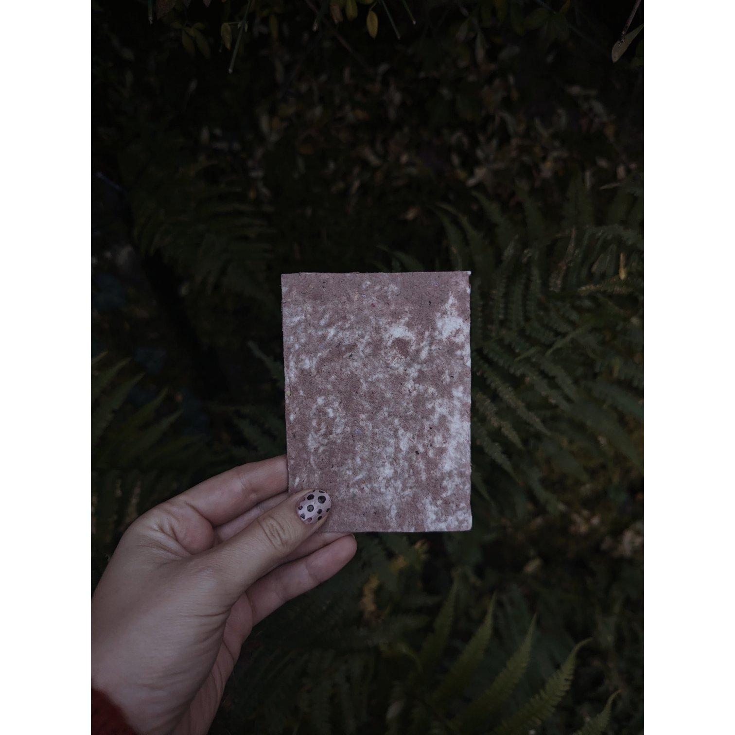 Photoroom-20251209_131532339 (3).png