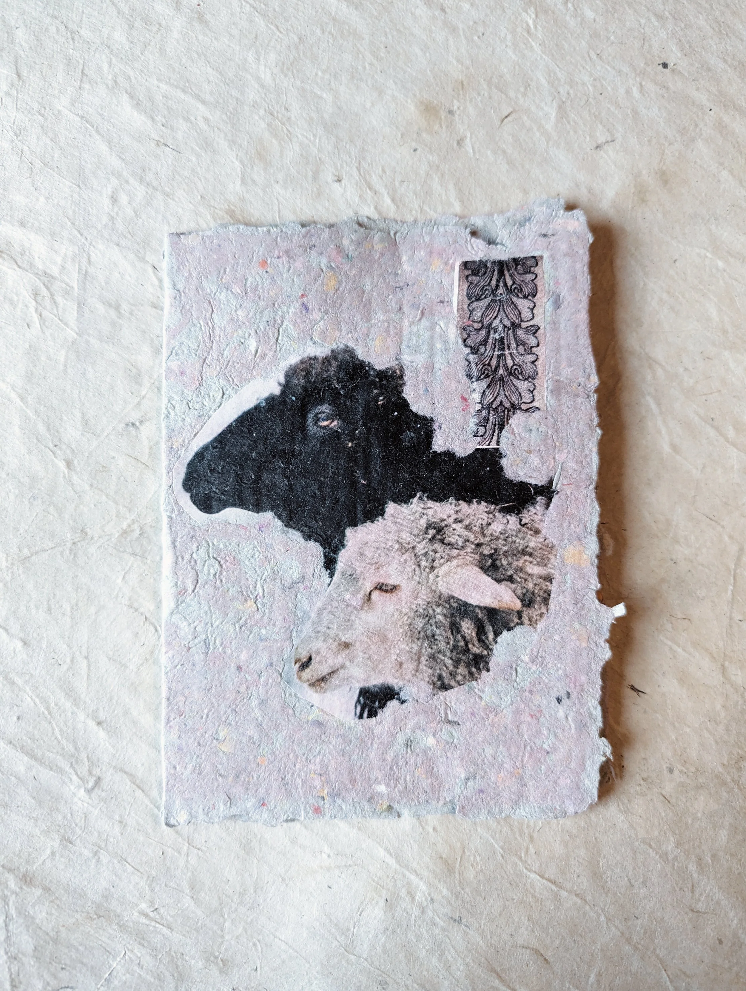 Collage aus zwei Tieren, einem schwarzen Schaf und einem weißen Widder, auf einer gerippten Papierunterlage.