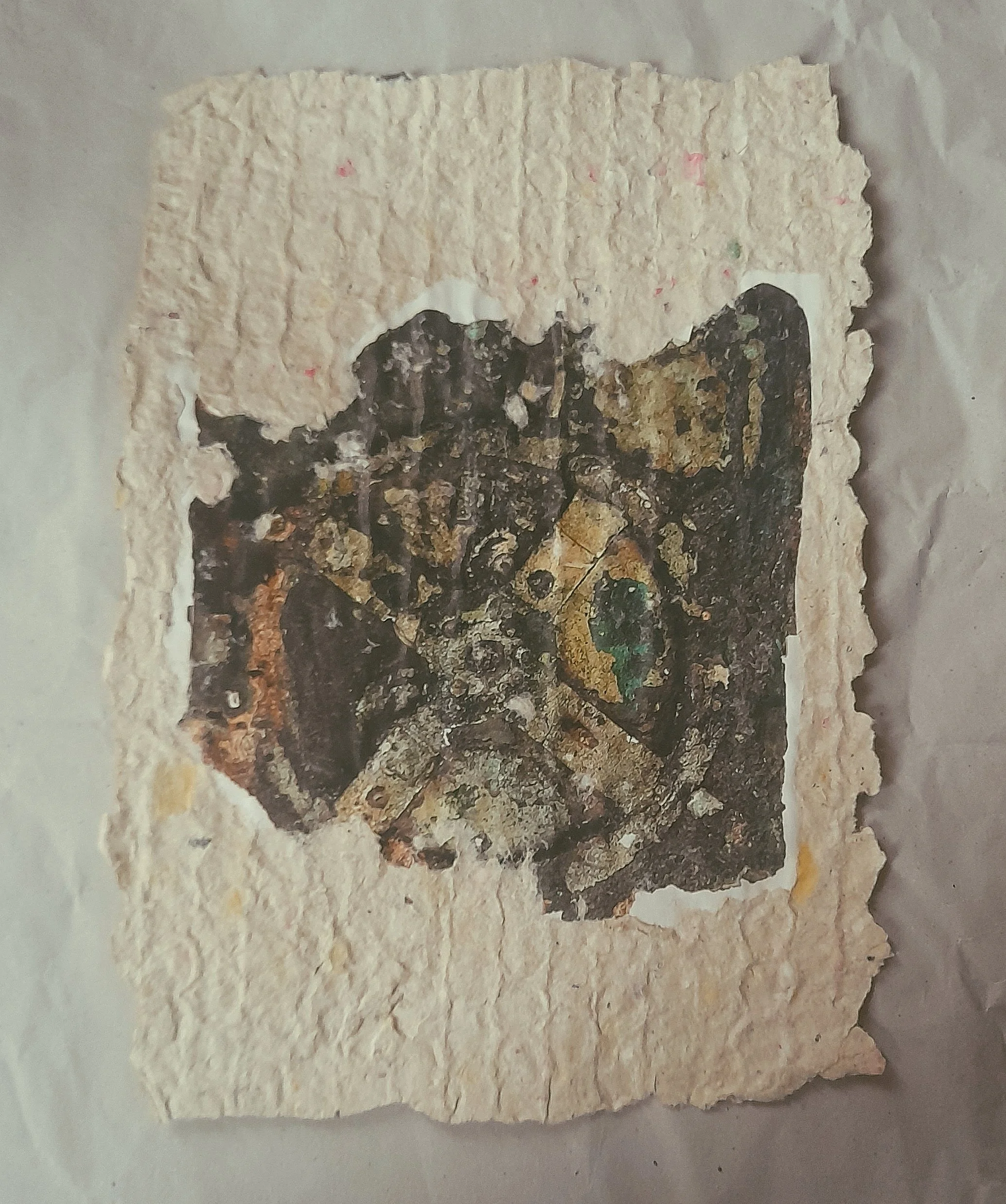 Eine alte, zerfetzte Papierseite mit einem fossilisierten Insekt, wahrscheinlich ein Käfer, auf der Oberfläche. Die Ränder des Papiers sind unregelmäßig und es wirkt vergilbt und abgenutzt.