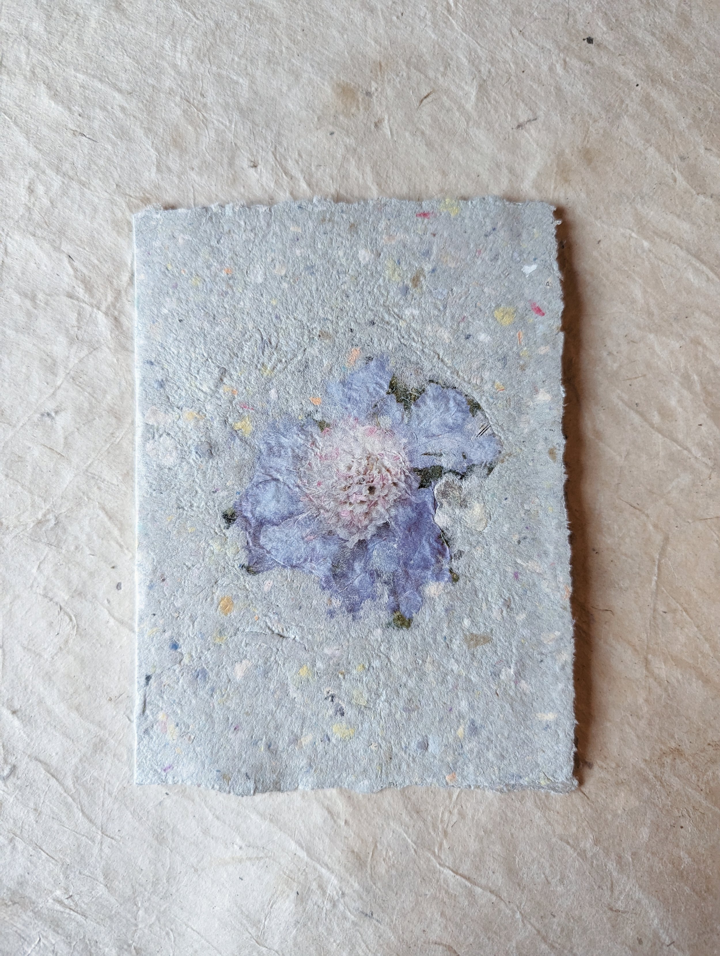 Handgemachte Karte mit einer getrockneten lilafarbenen Blume auf hellem, leicht strukturiertem Hintergrund