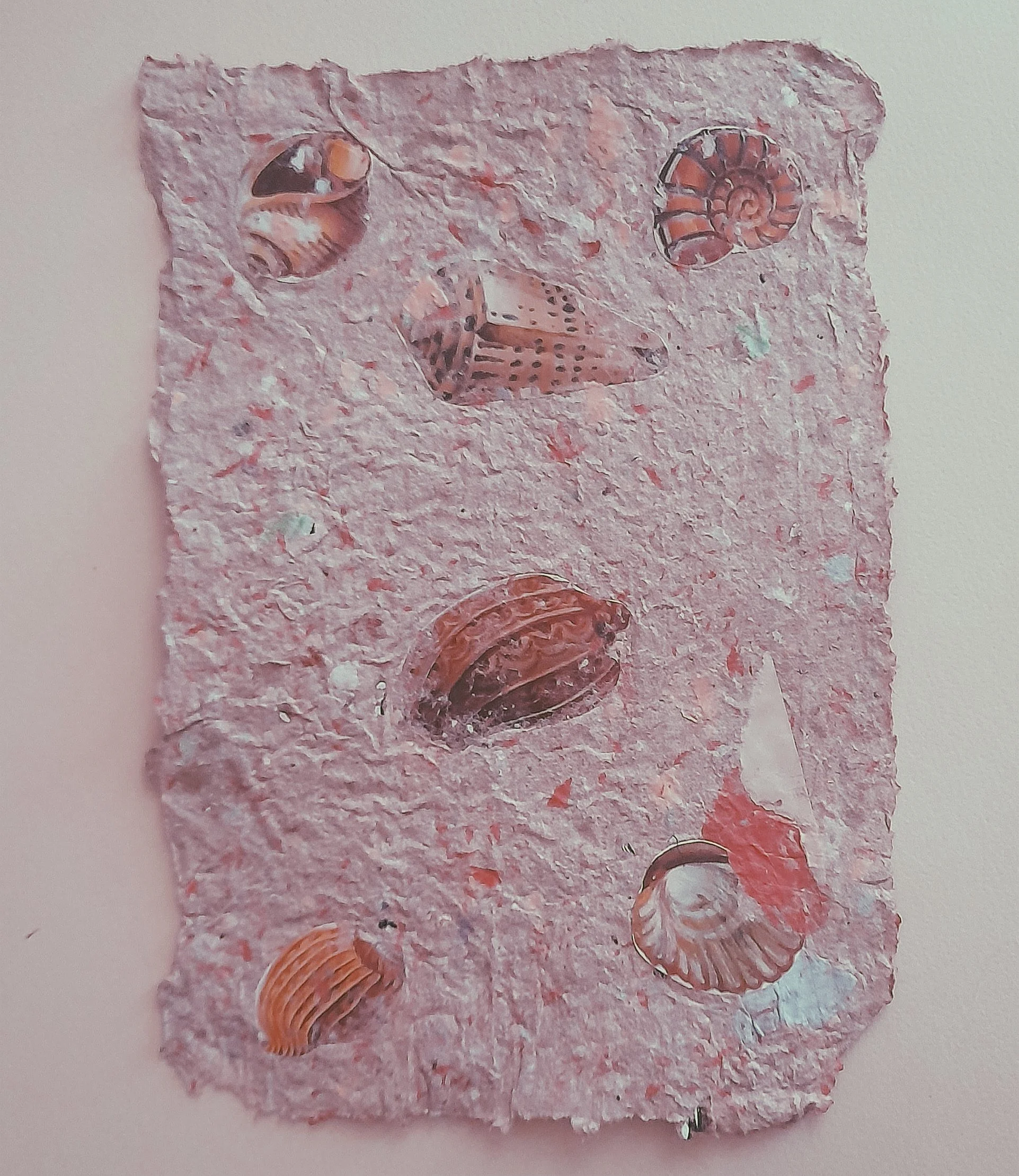 mit verschiedenen ausgestanzten Muscheln  auf handgeschöpftem Papier eingearbeitet 