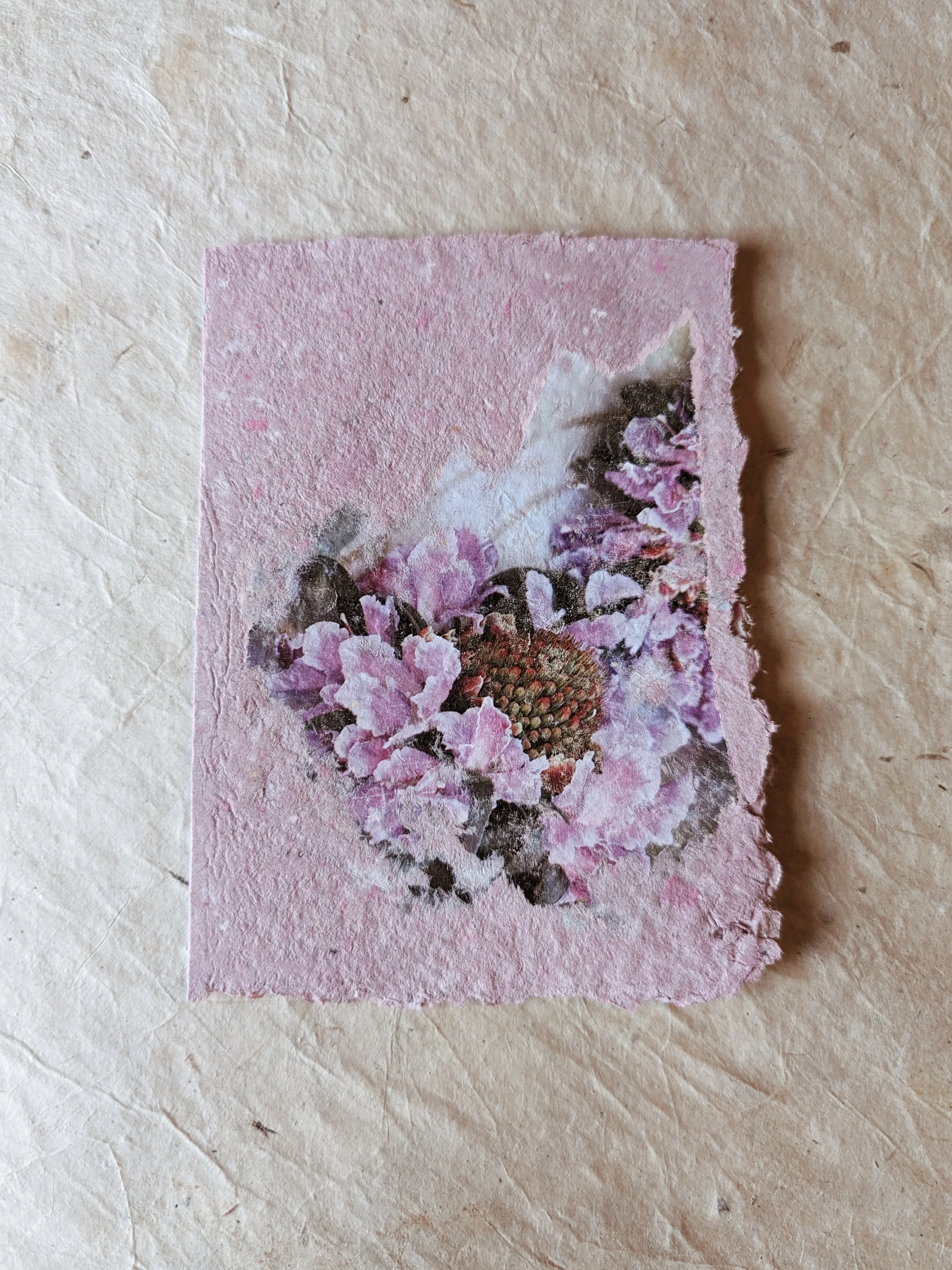 Verblasste, rissige rosa Karte mit einem Blumenmuster aus pinken und lila Blumen, auf hellem Untergrund.