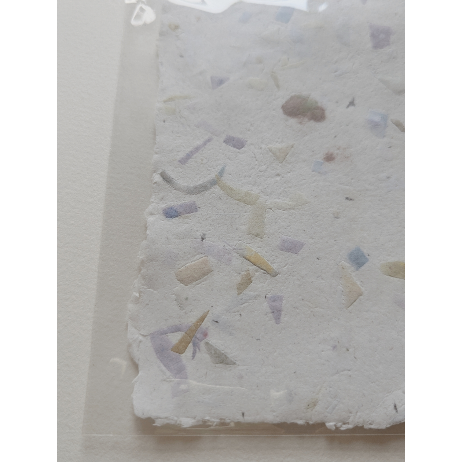 Photoroom-20251209_131532339 (7).png