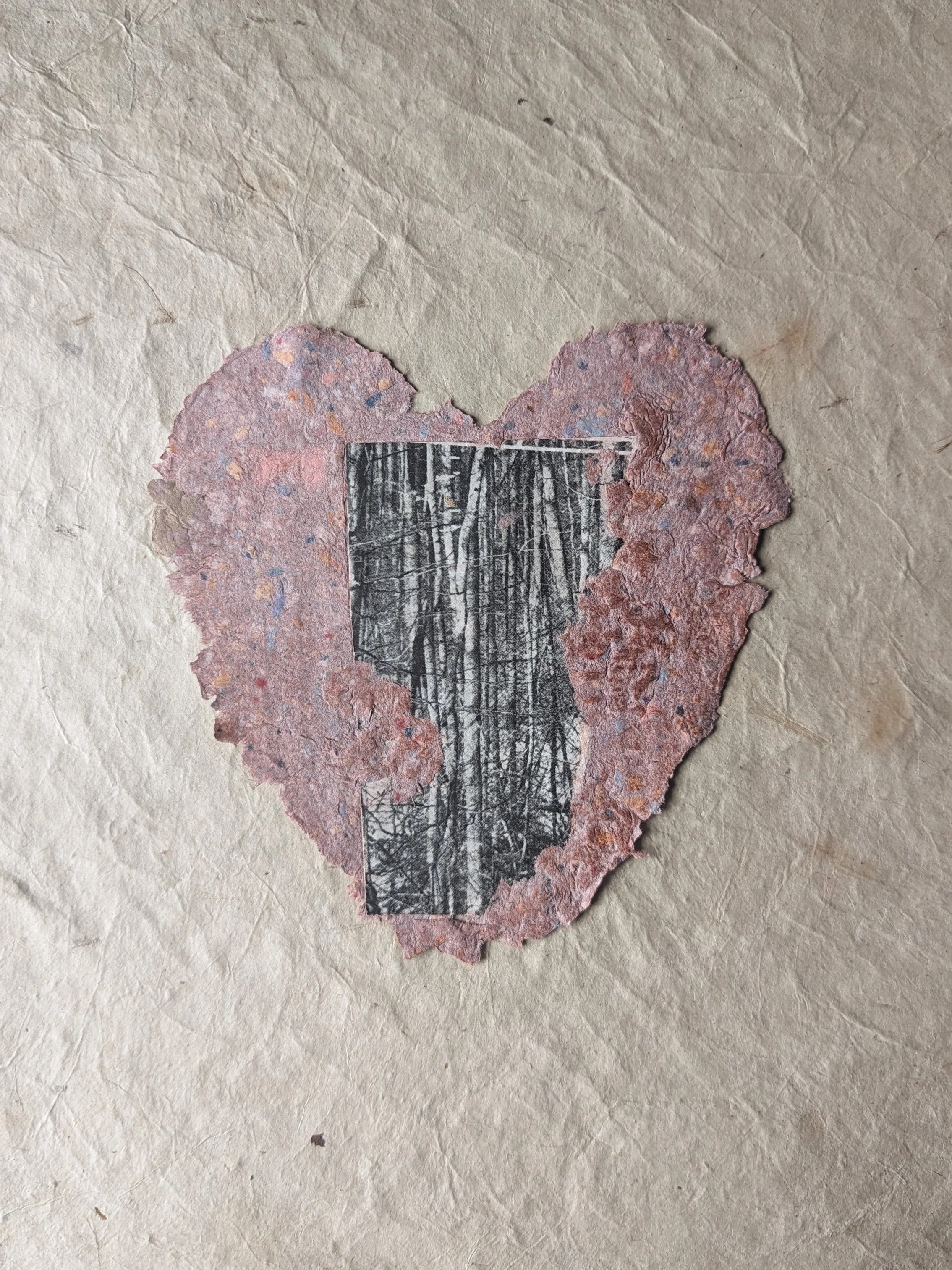 Klebeherz aus Papier mit einem schwarz-weißen Bild eines Baumwaldes in der Mitte, umgeben von einem pinken, wetterhaften Herz aus Papier.