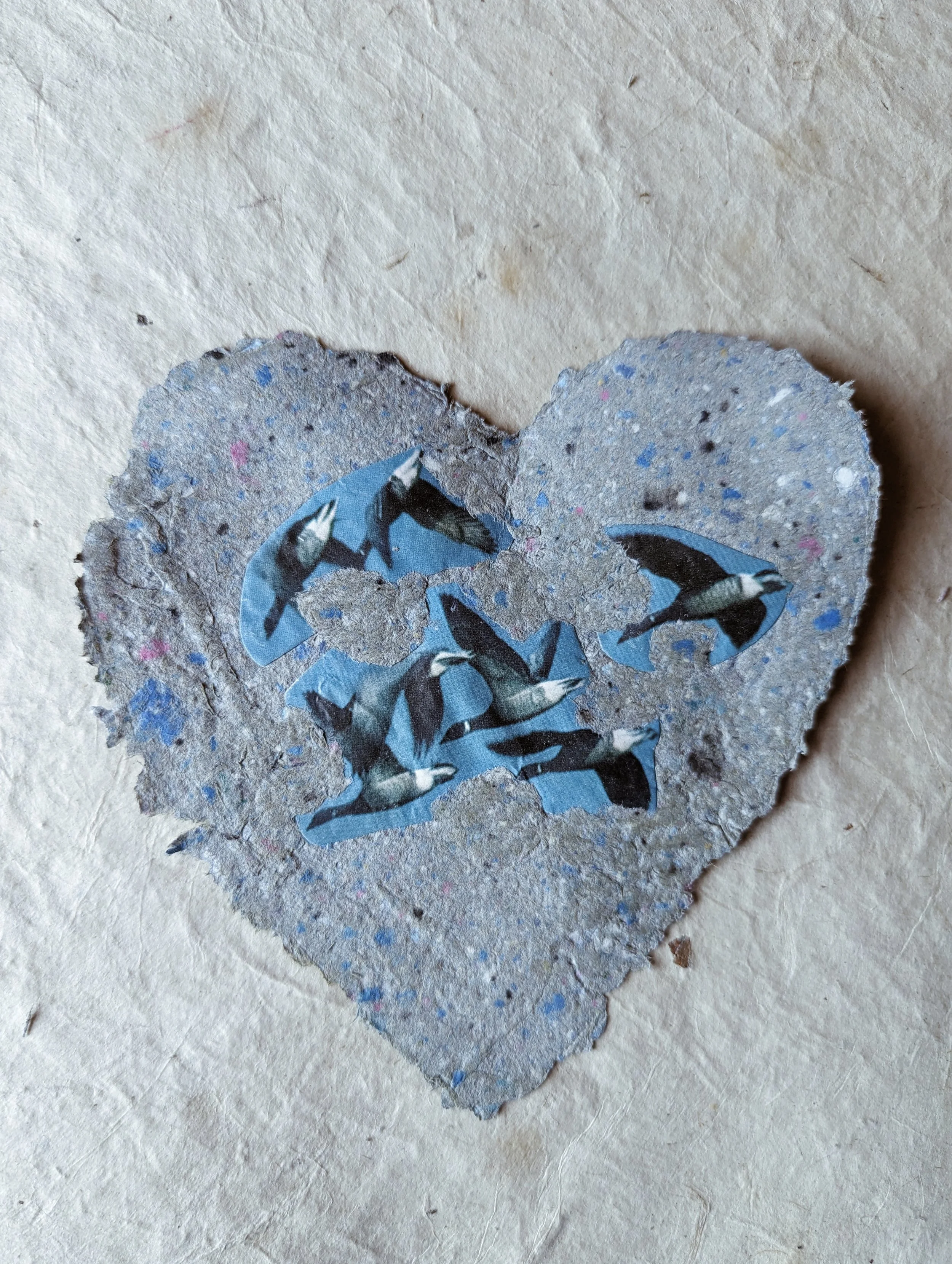 Herzförmiges Stück Pappe mit einer Collage aus Fotokopien von kleinen, schwarzen und weißen Vögeln auf blauen Hintergrund, auf braunem Papier