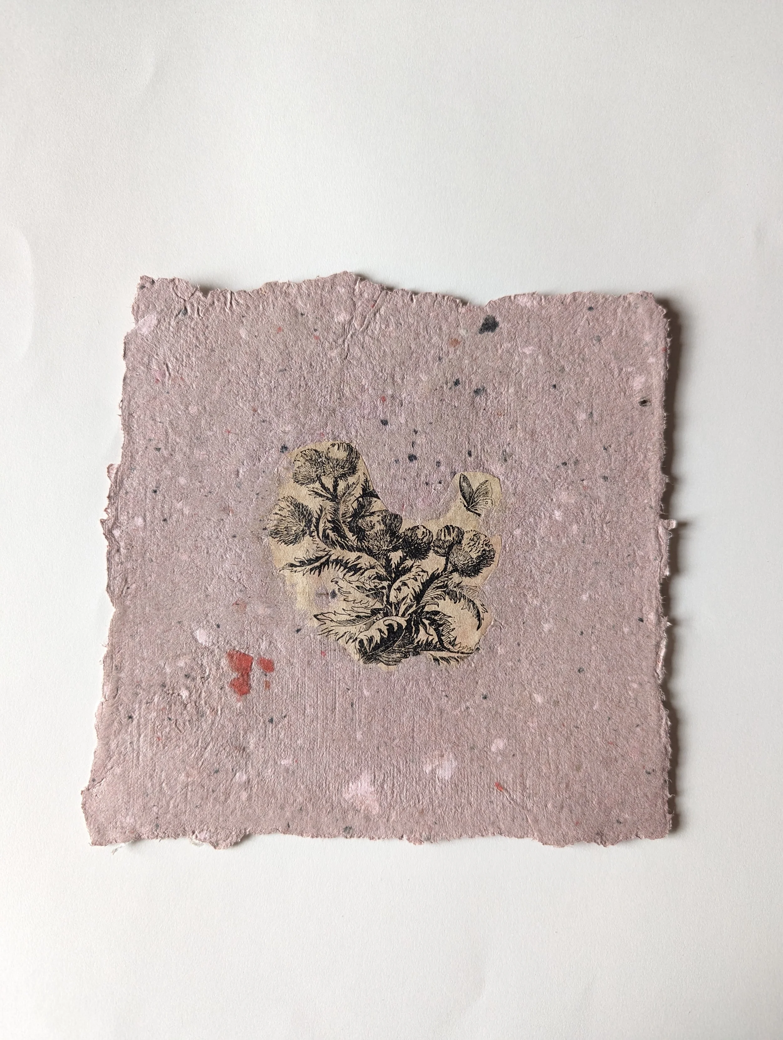 ein quadratisches handgeschöpftes Papier mit einem schwarzen und weißen botanischen Druck in der Mitte, auf hellem Hintergrund.