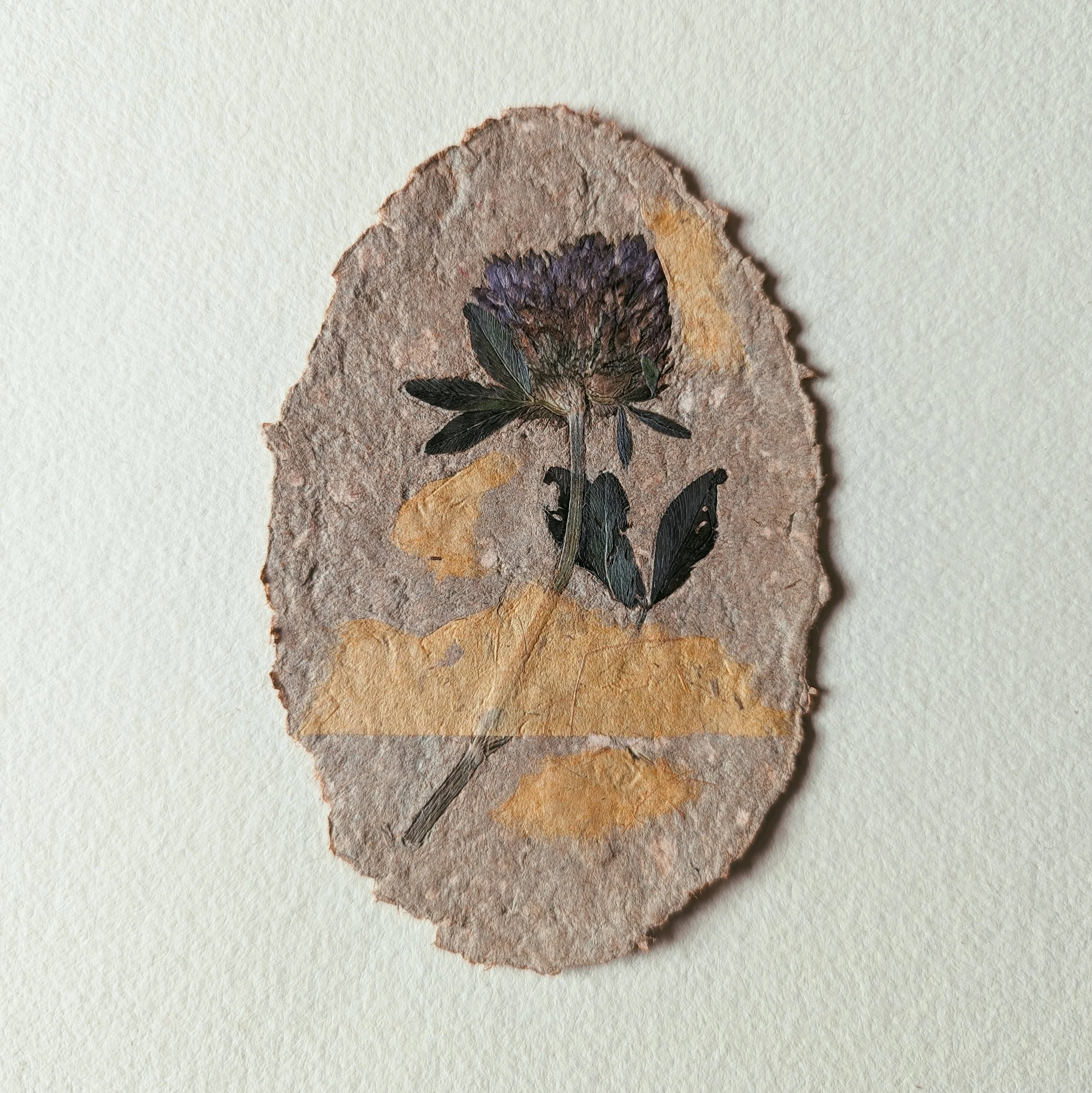 Getrocknetes Pflanzenmotiv auf einem handgeschöpften Eiförmigen Papier, auf hellbeigem Hintergrund.