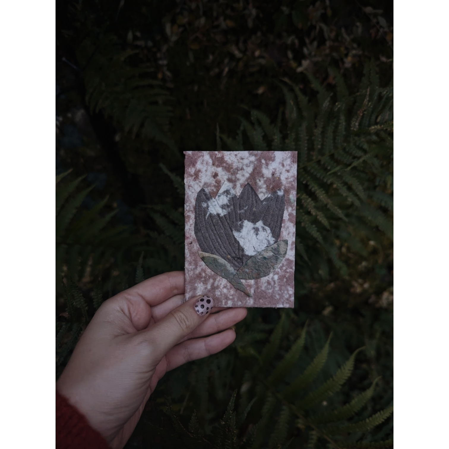 Photoroom-20251209_131532339 (1).png