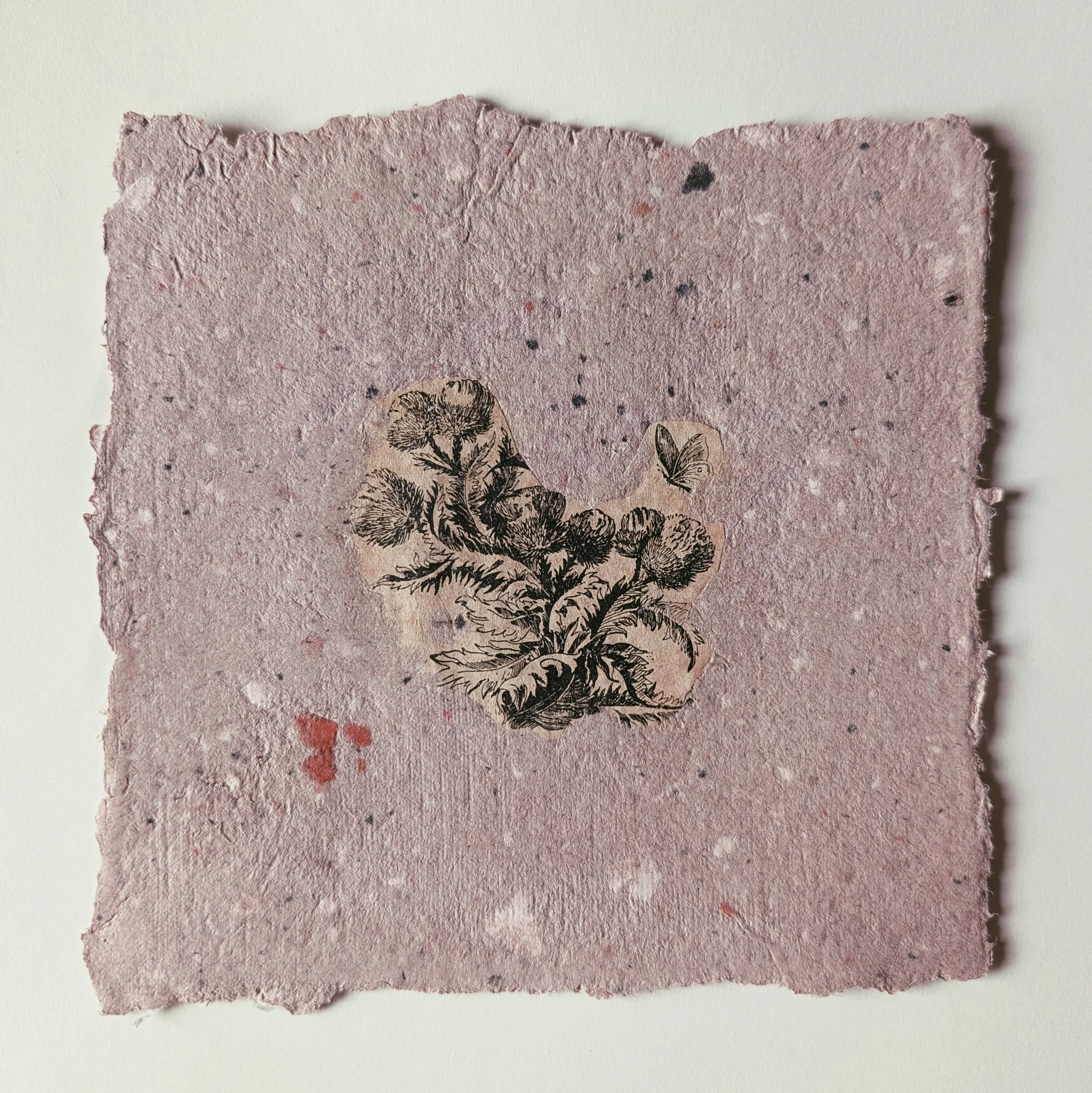 Quer gestreiftes, raues Papier mit getrockneten roten und schwarzen Farbspuren und einem schwarzen Pflanzen- und Schmetterlingsdruck in der Mitte.