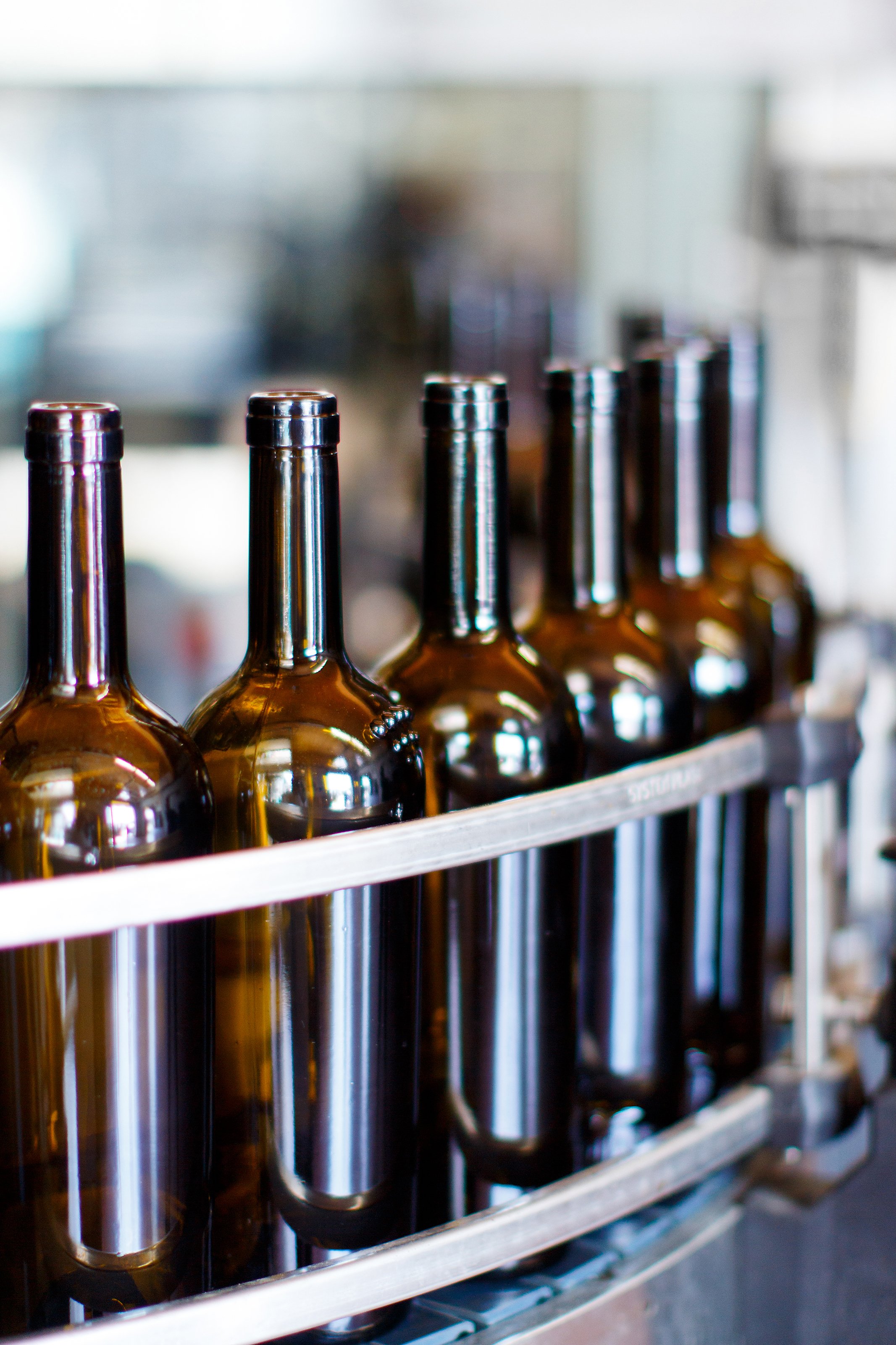 Amber wine bottles moving along a bottling line at a winery