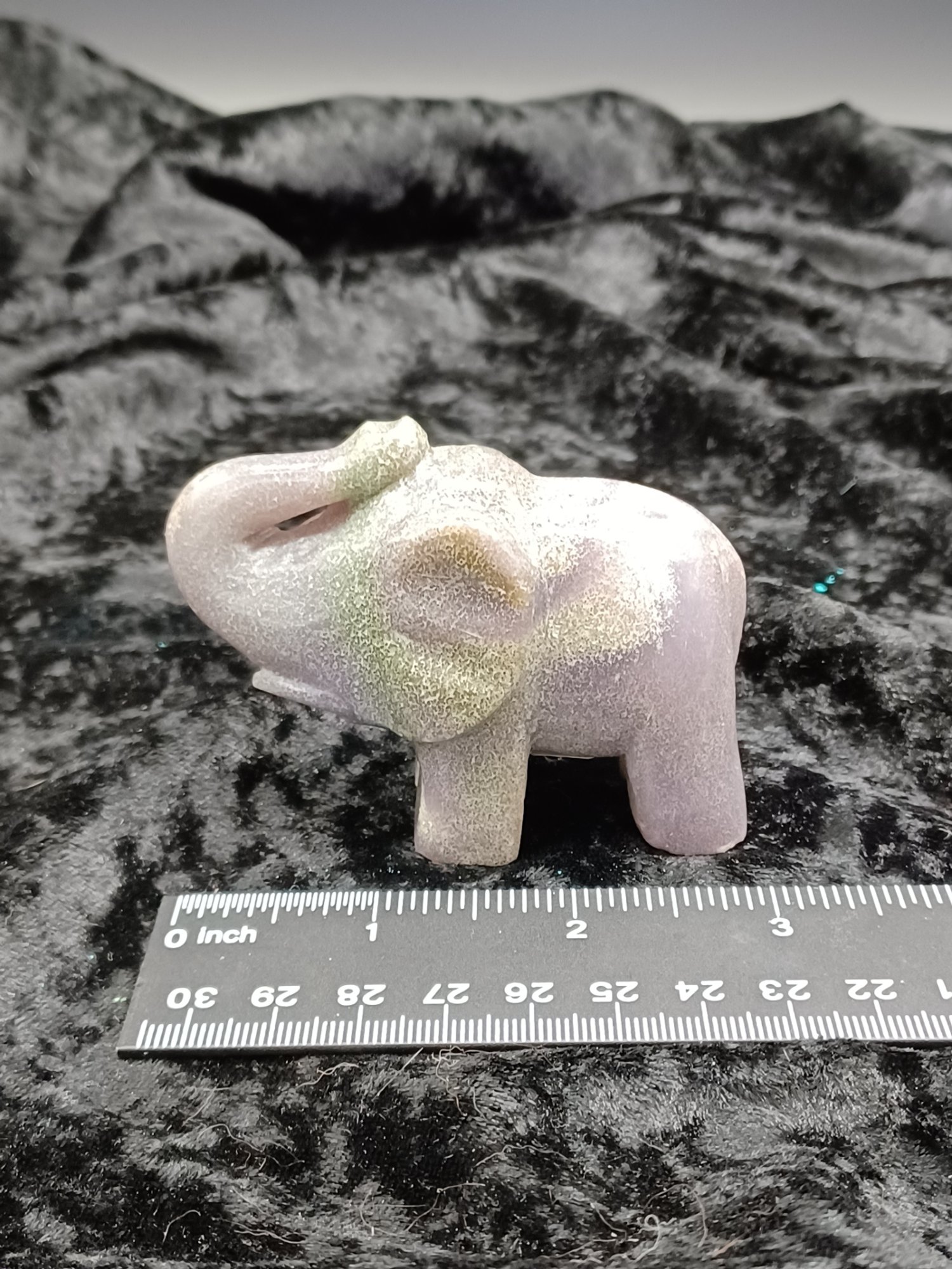 GrapeElephant1_3.jpg