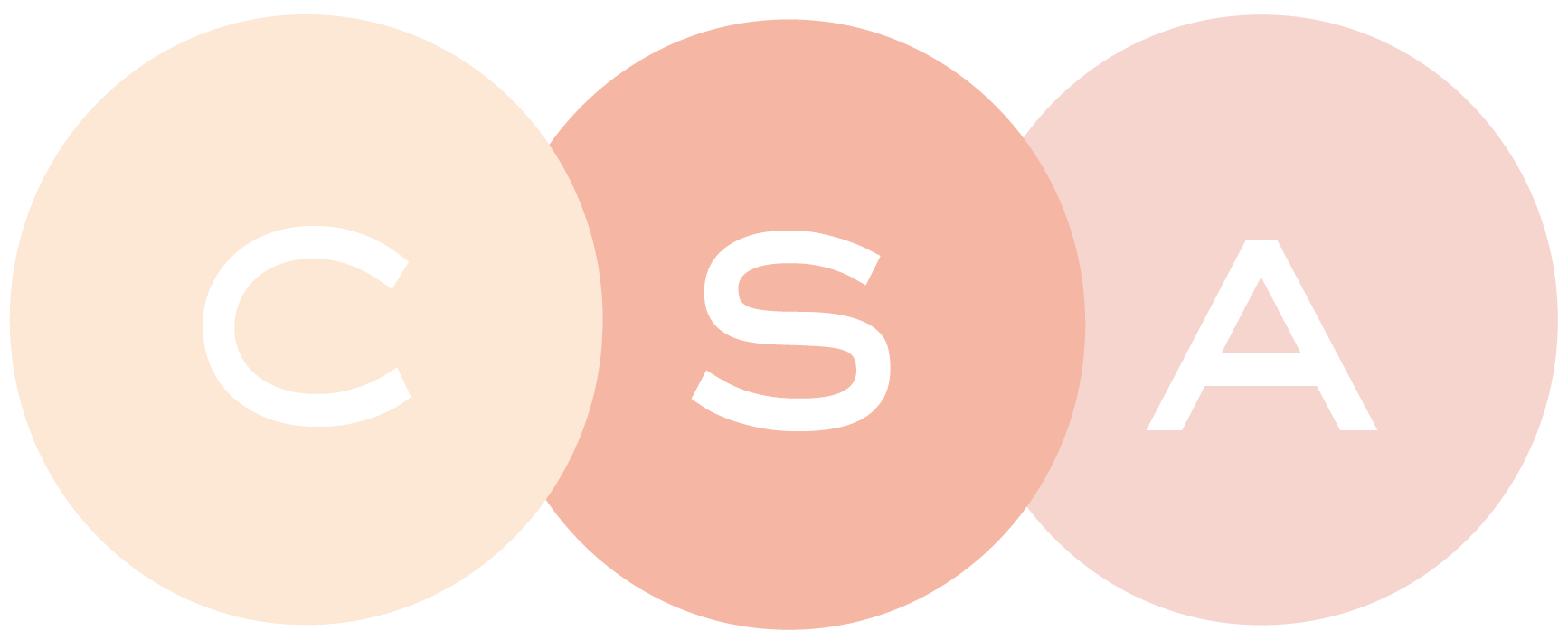 About Us — CSA