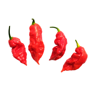 Ghost-pepper-project.png