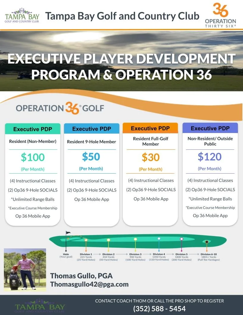 Services 4 — Thom Gullo Golf