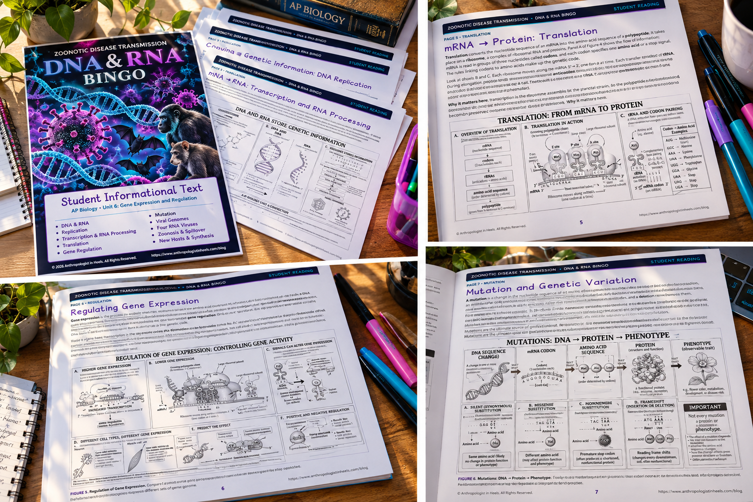 student reading dna rna photo.png