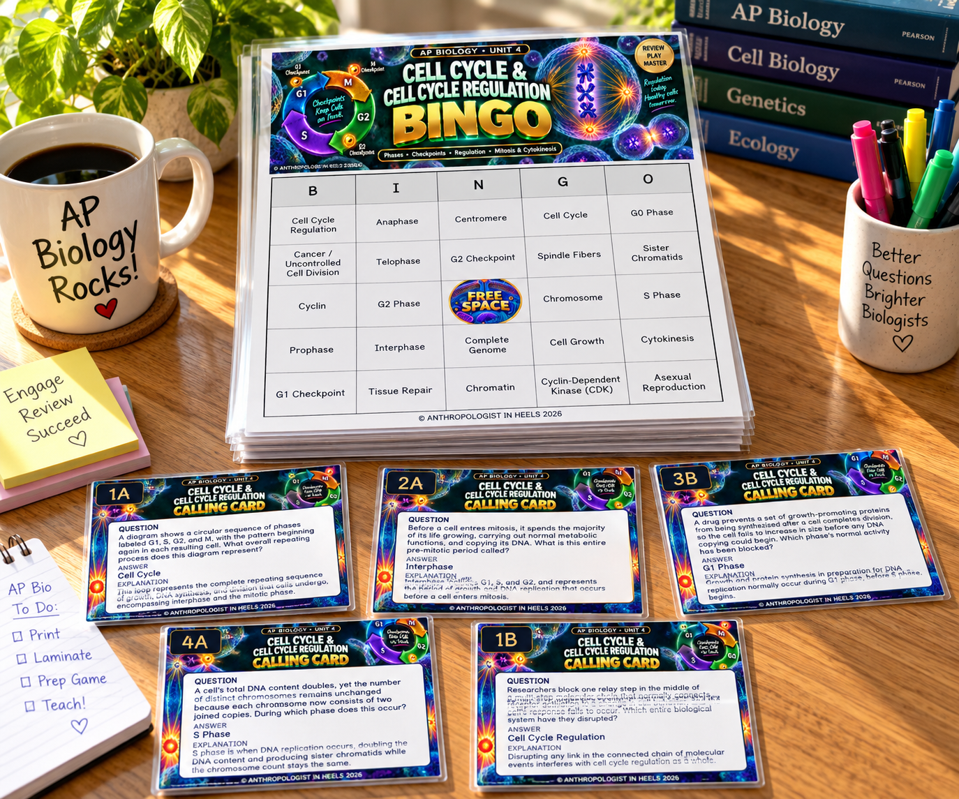 APBIO_U4_CellCycle_Bingo_Hero_SunlitDesk_v1.png