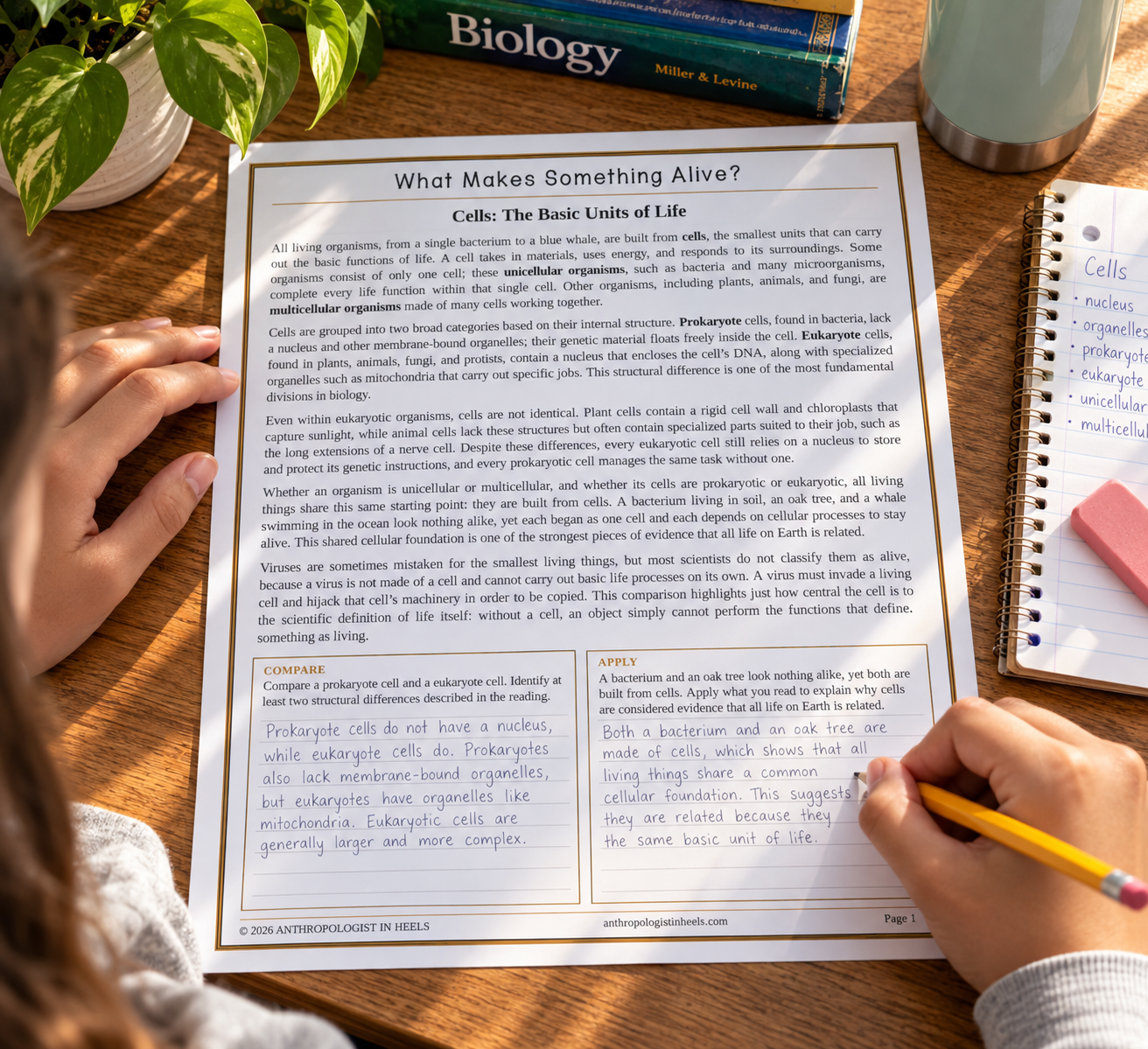 student text and note.png