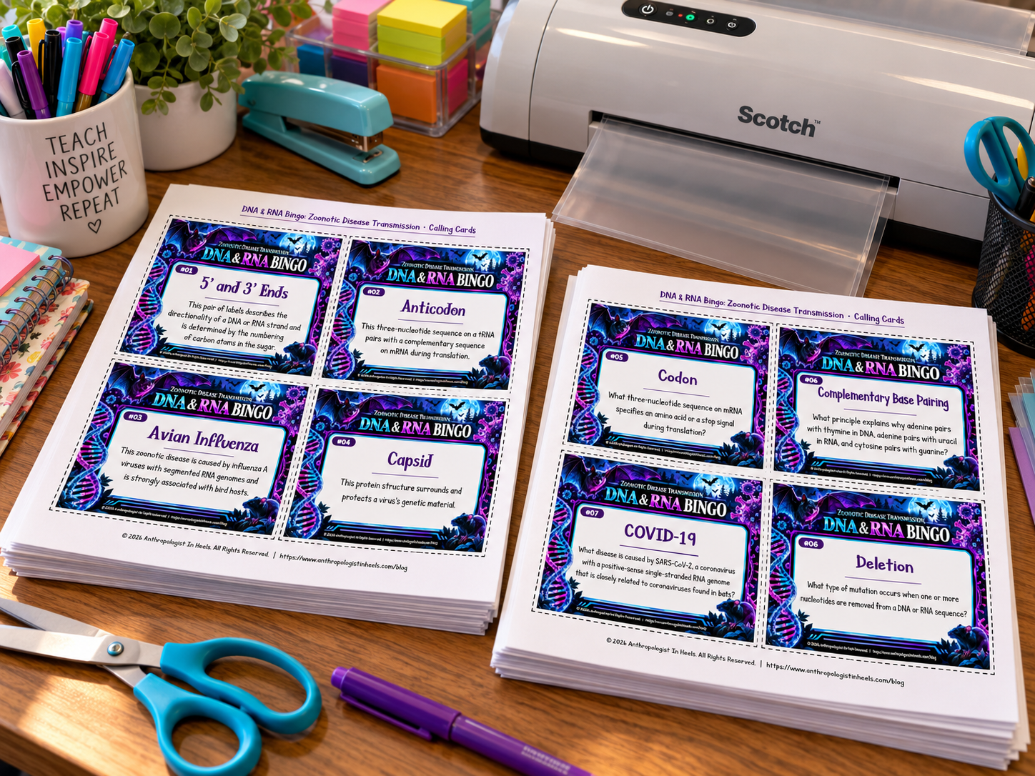 teacher set up.png
