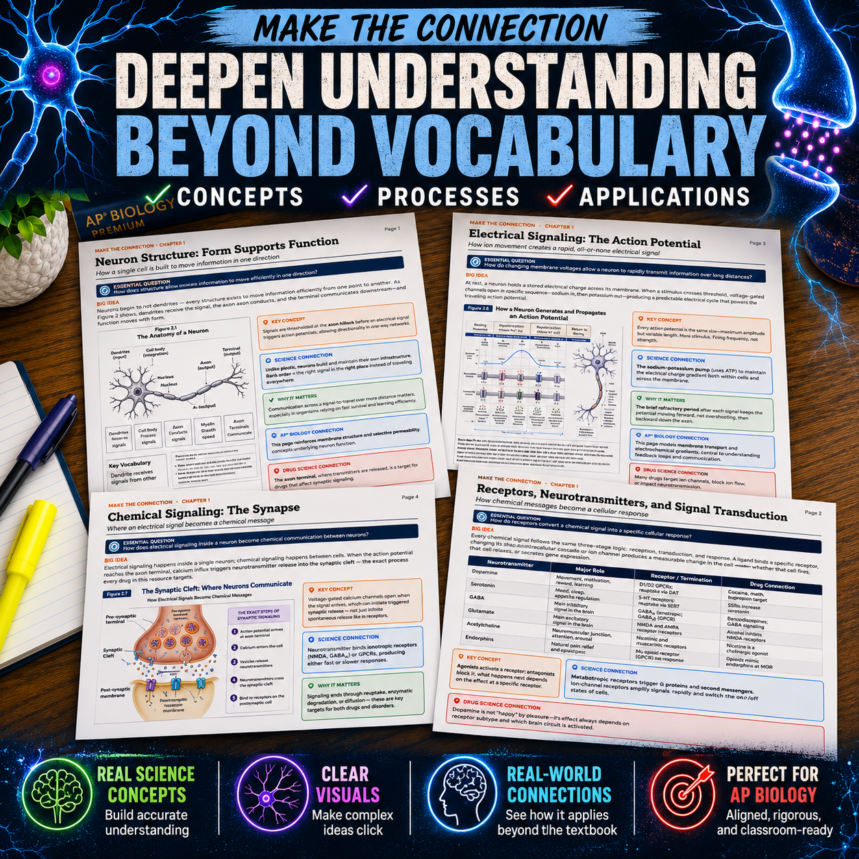 pageview 4 nervous system.png