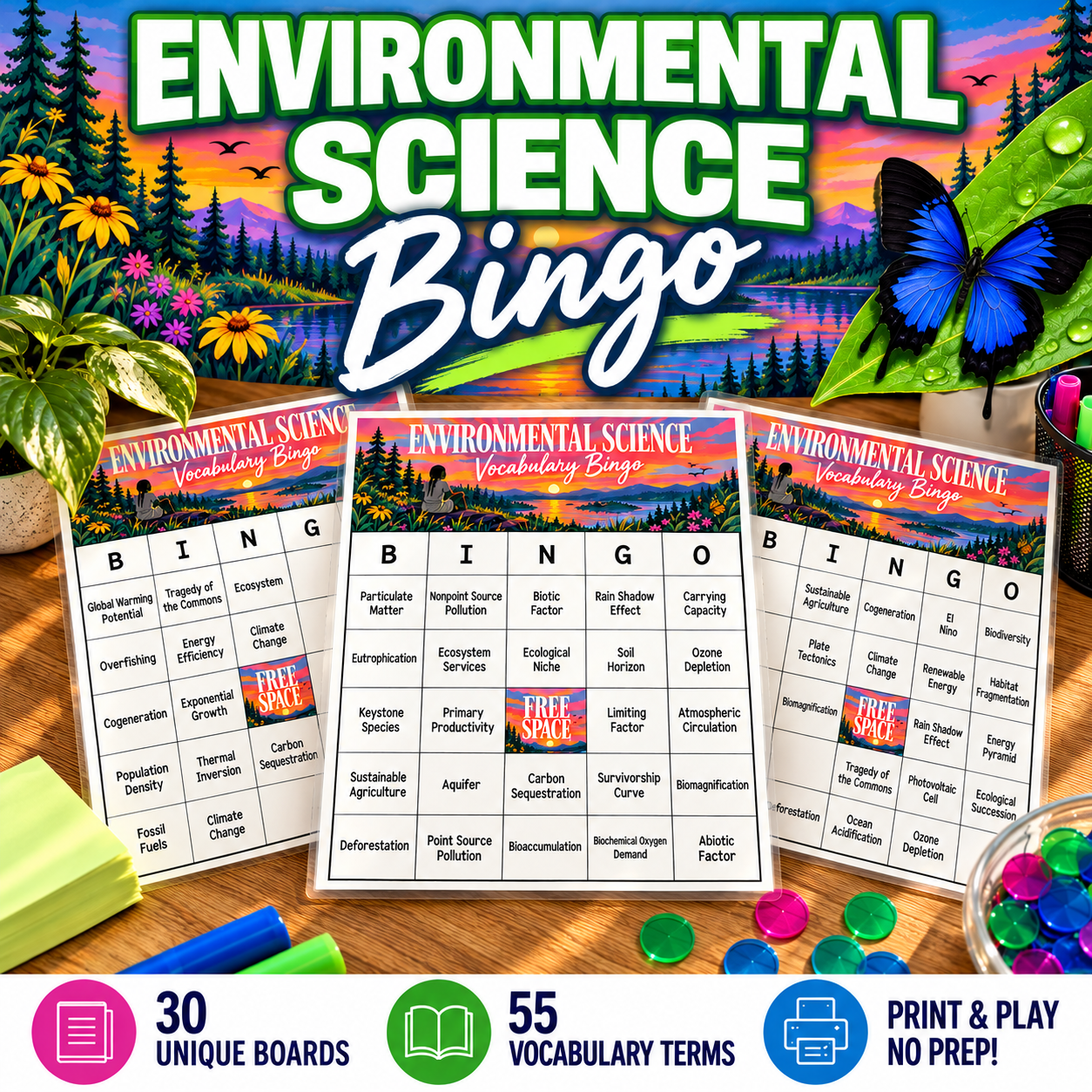 environmental image 1.png