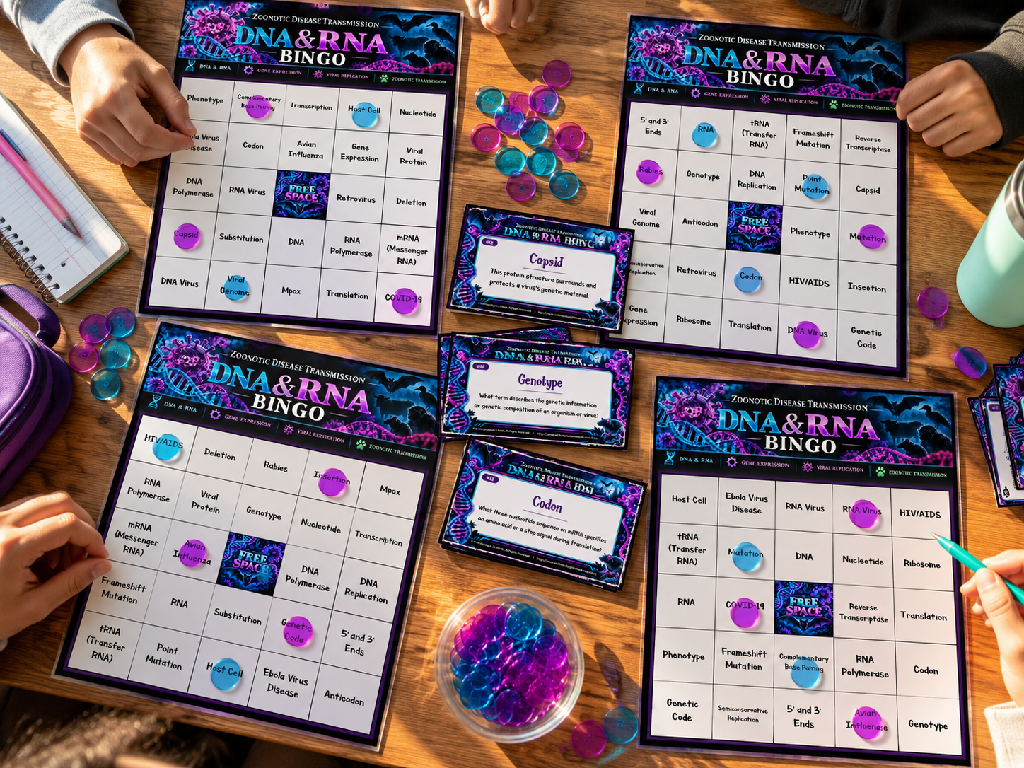 birds eye view dna and rna zoonosis bingo.png