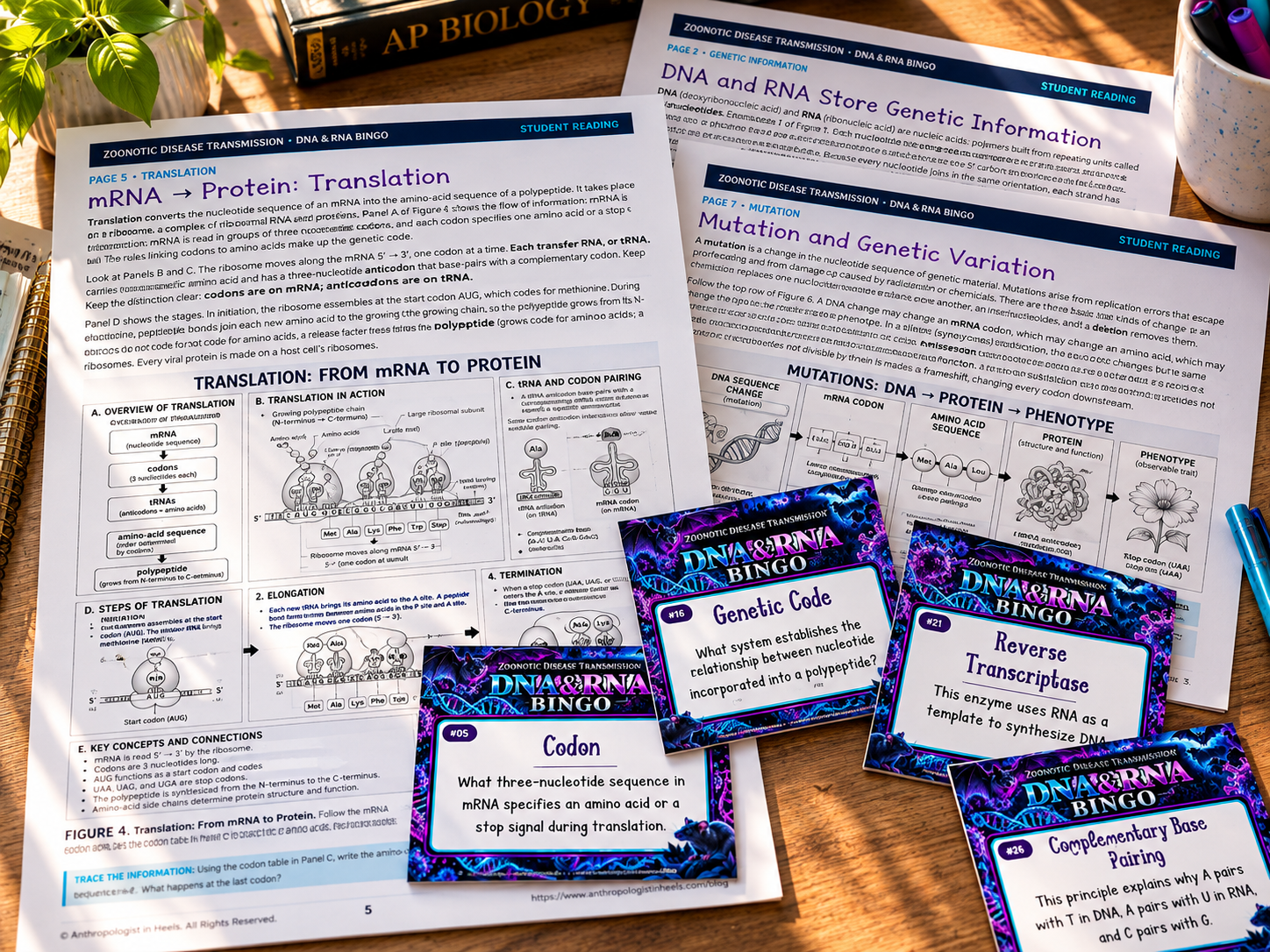 student worksheet and calling cards.png