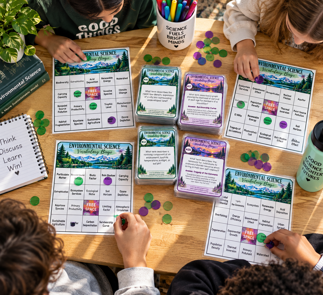 environmental science birds eye view game.png