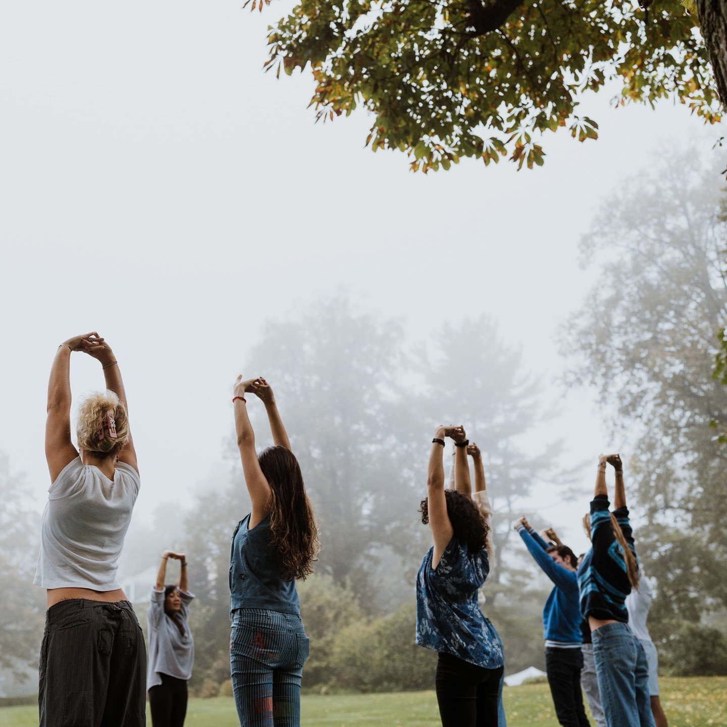 As we move into fall, we're celebrating our third year partnering with @teamypi to bring young adults together for a few days of connection, community and coaching. When together, attendees learn about YPI's science-backed tools for navigating life's