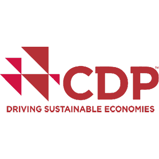 CDP logo with red and black geometric shapes and the text 'CDP' and 'Driving Sustainable Economies'.