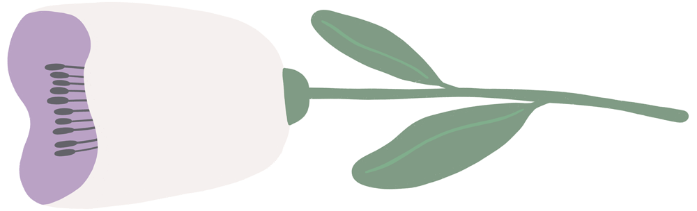 A purple calculator with black buttons, a white background, and green leaves nearby.