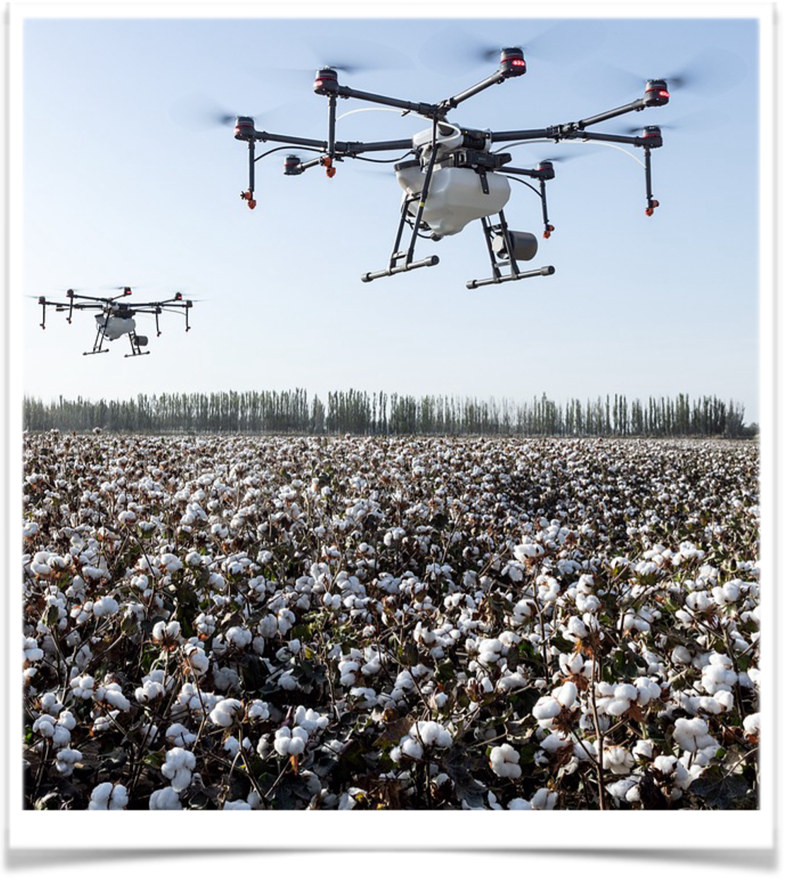 Revolutionizing Farm Management