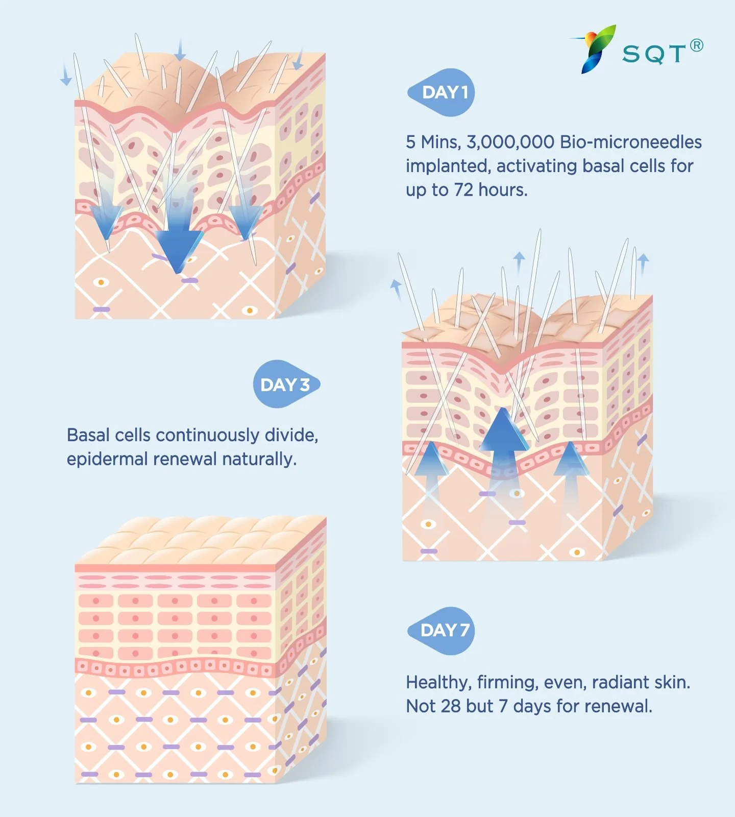 Did you know? 

In just 5 minutes, an SQT treatment creates over 3,000,000 microchannels in your skin! These tiny pathways supercharge the absorption of active ingredients, kickstart collagen production, and set your skin on the path to renewal.

Ove